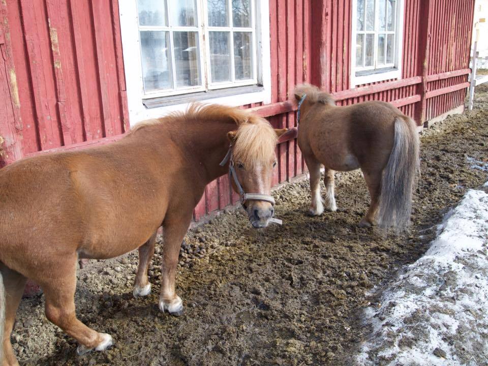 2. pääsiäispäivä Helsingissä 2017