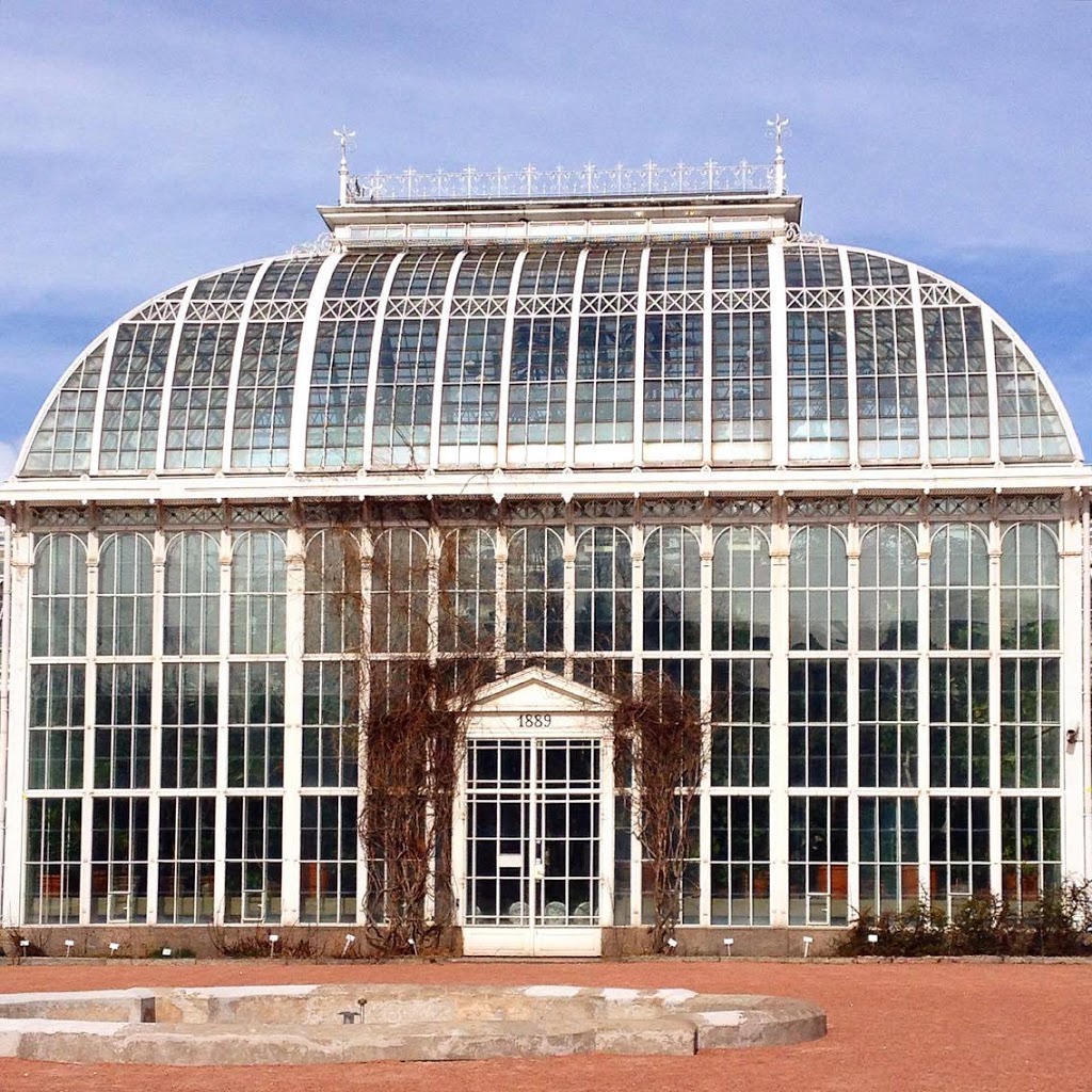 Kaisaniemen kasvitieteellinen puutarha