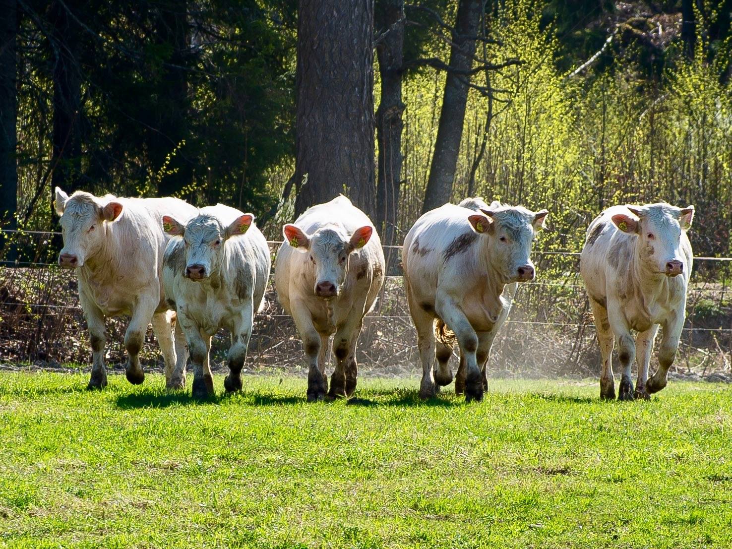 Minne tällä viikolla? 29.4.-5.5.2019