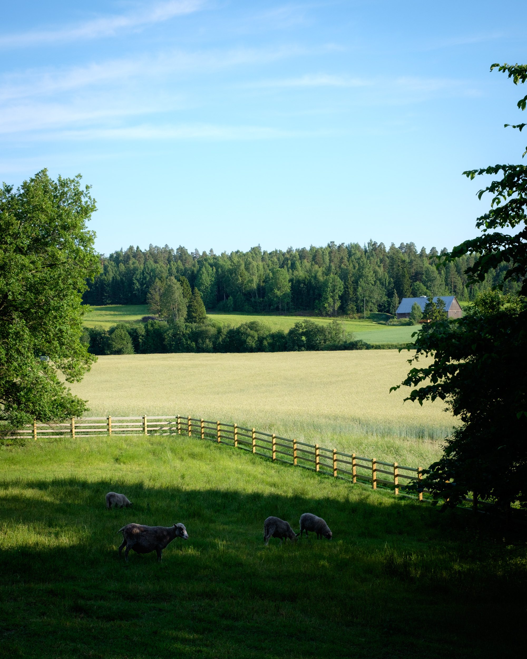 Minne tällä viikolla? 18.6-24.6.2018