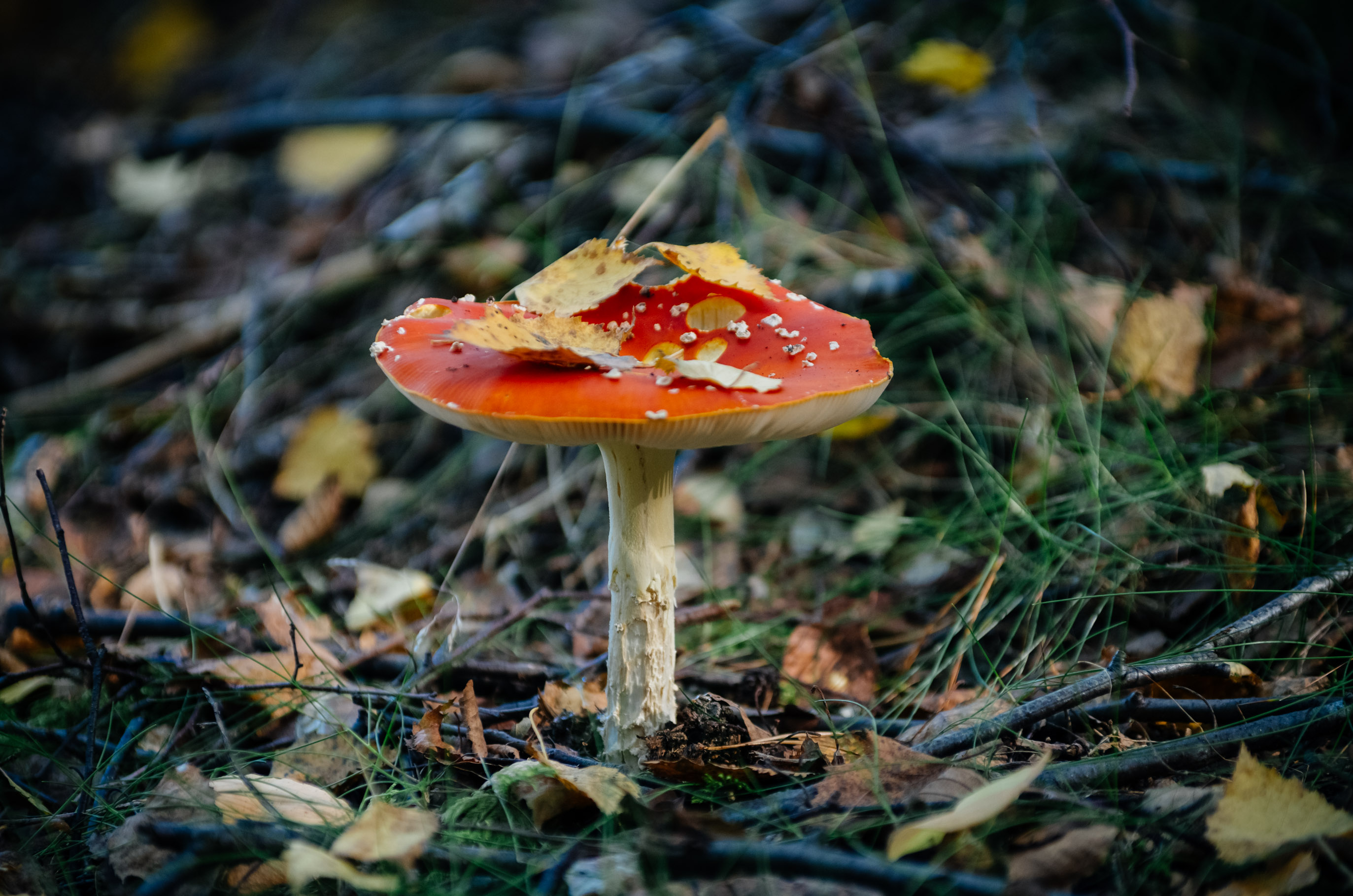 Minne tällä viikolla? 17.-23.10.2022