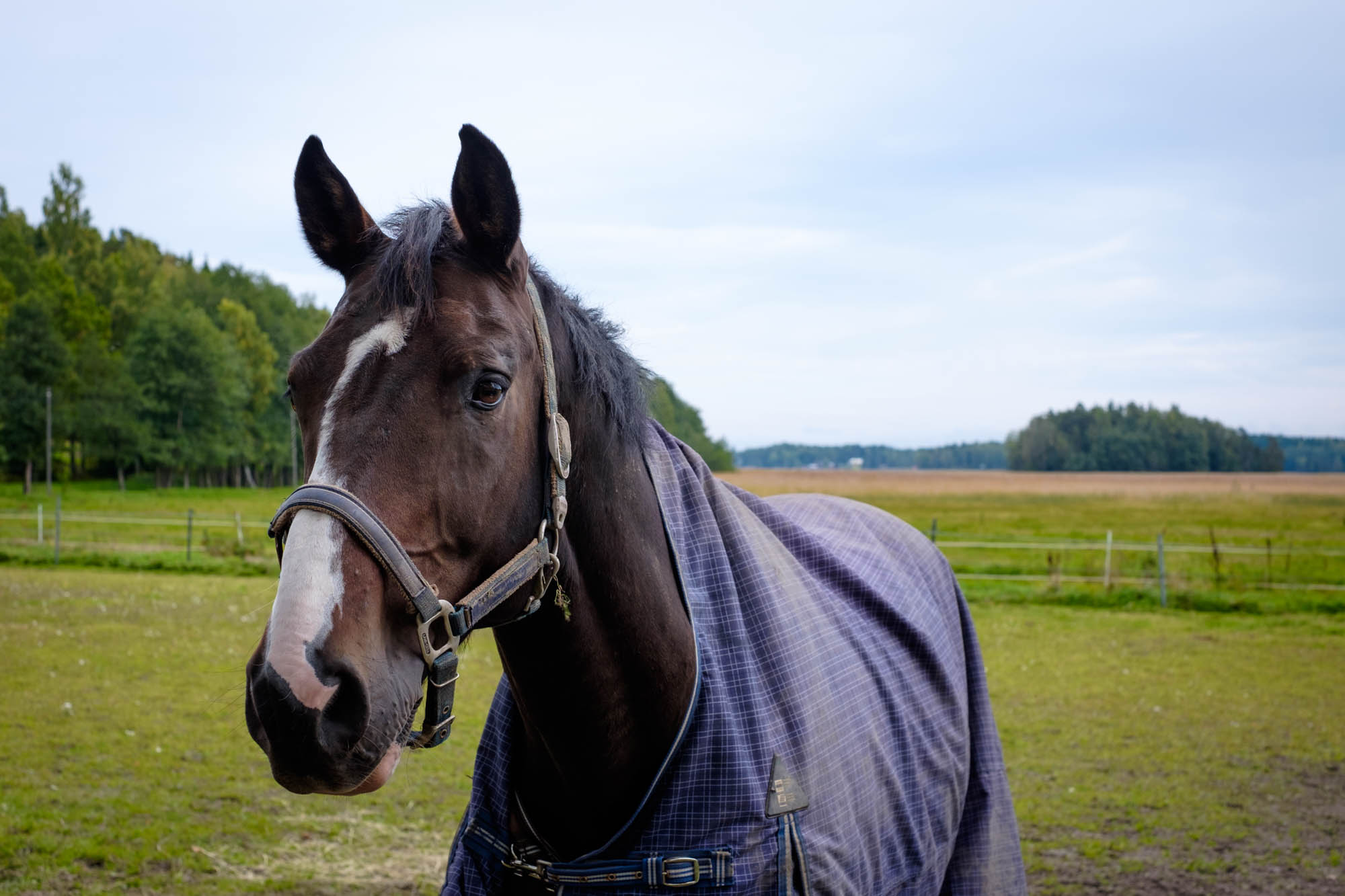 Helsingin saaret: Syksyinen Talosaari