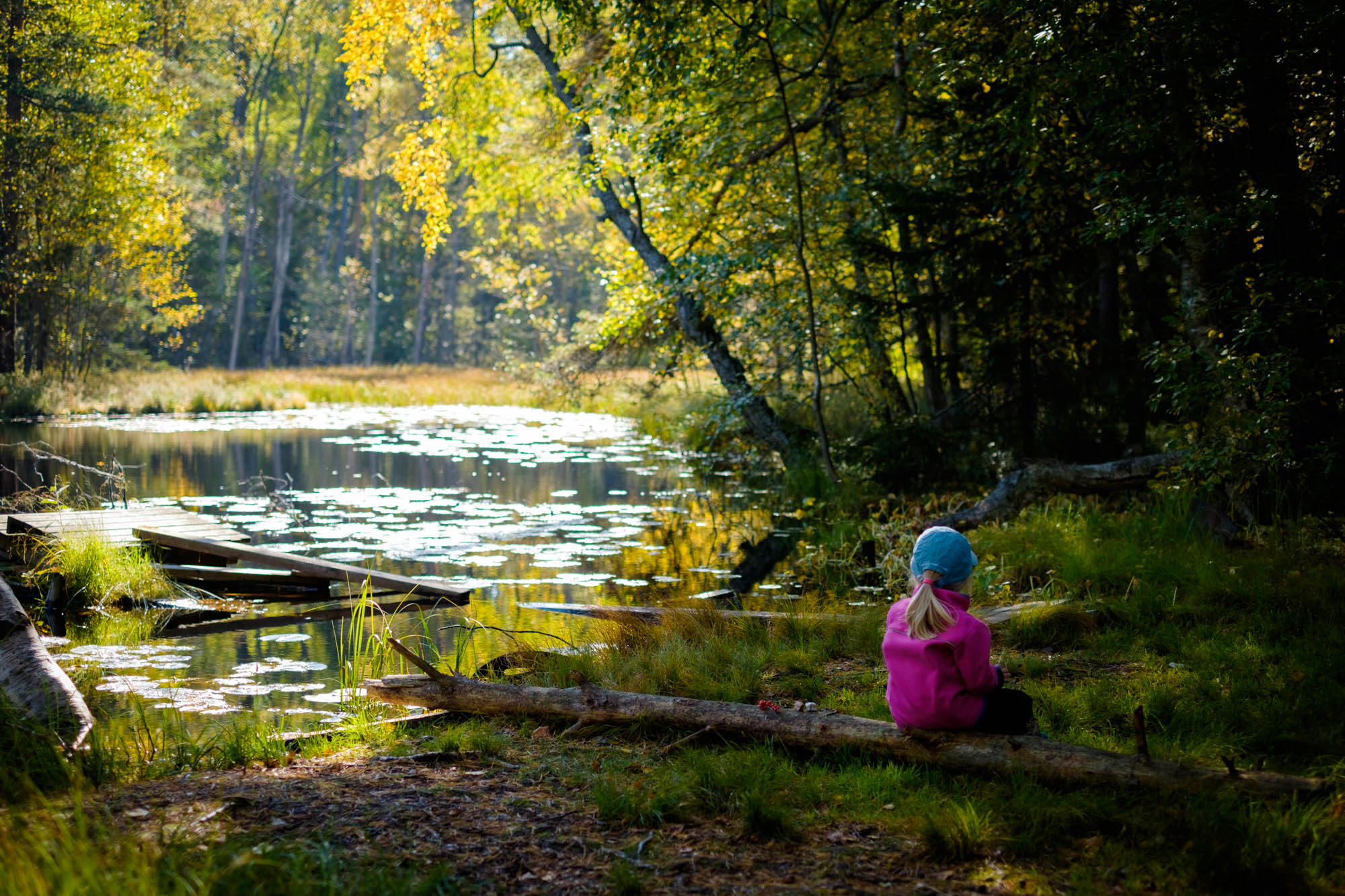 Minne tällä viikolla? 26.9.-2.10.2022