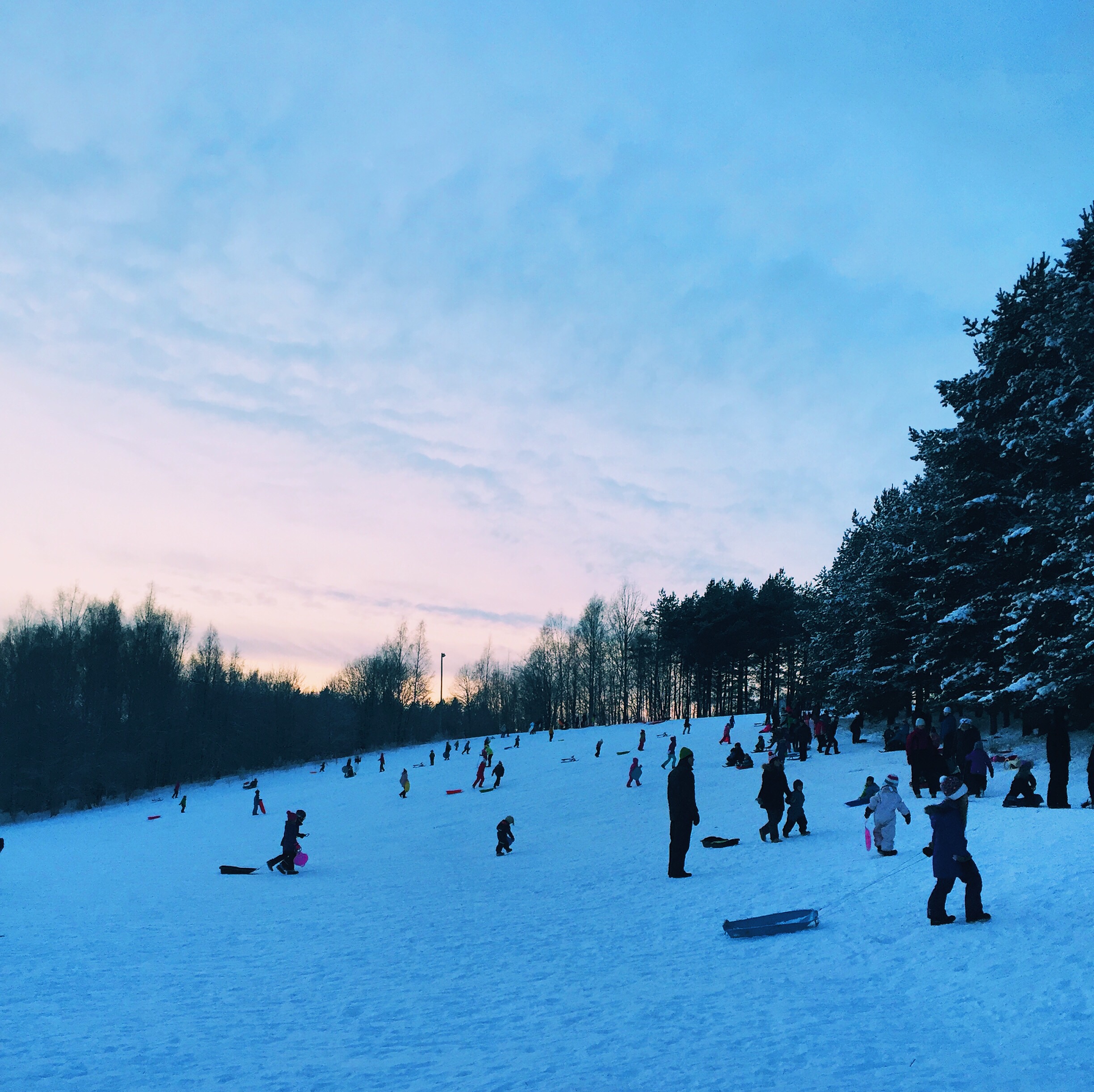Pulkkamäkiä Helsingissä ja pk-seudulla