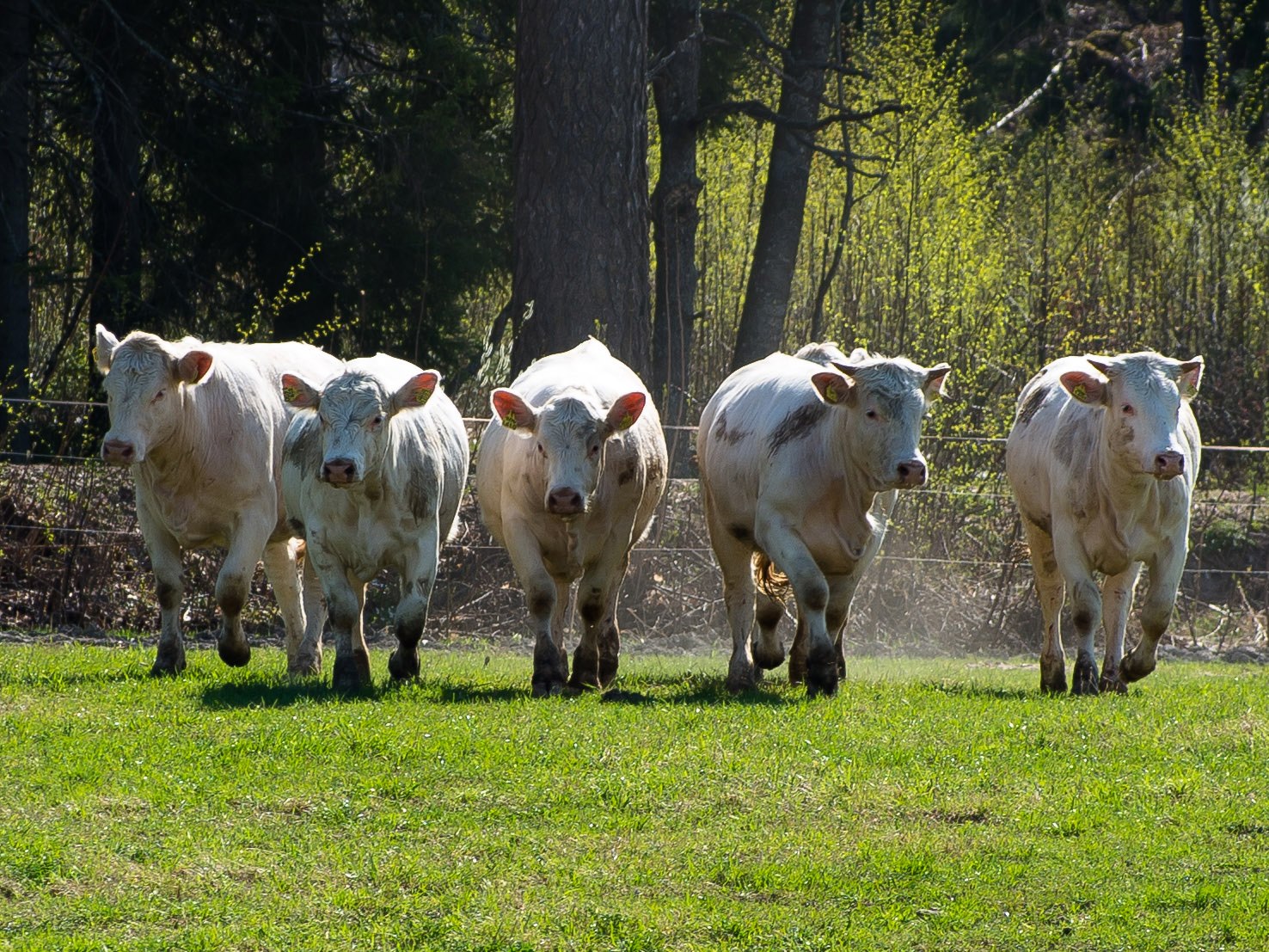 Minne tällä viikolla? 28.4.-4.5.2025