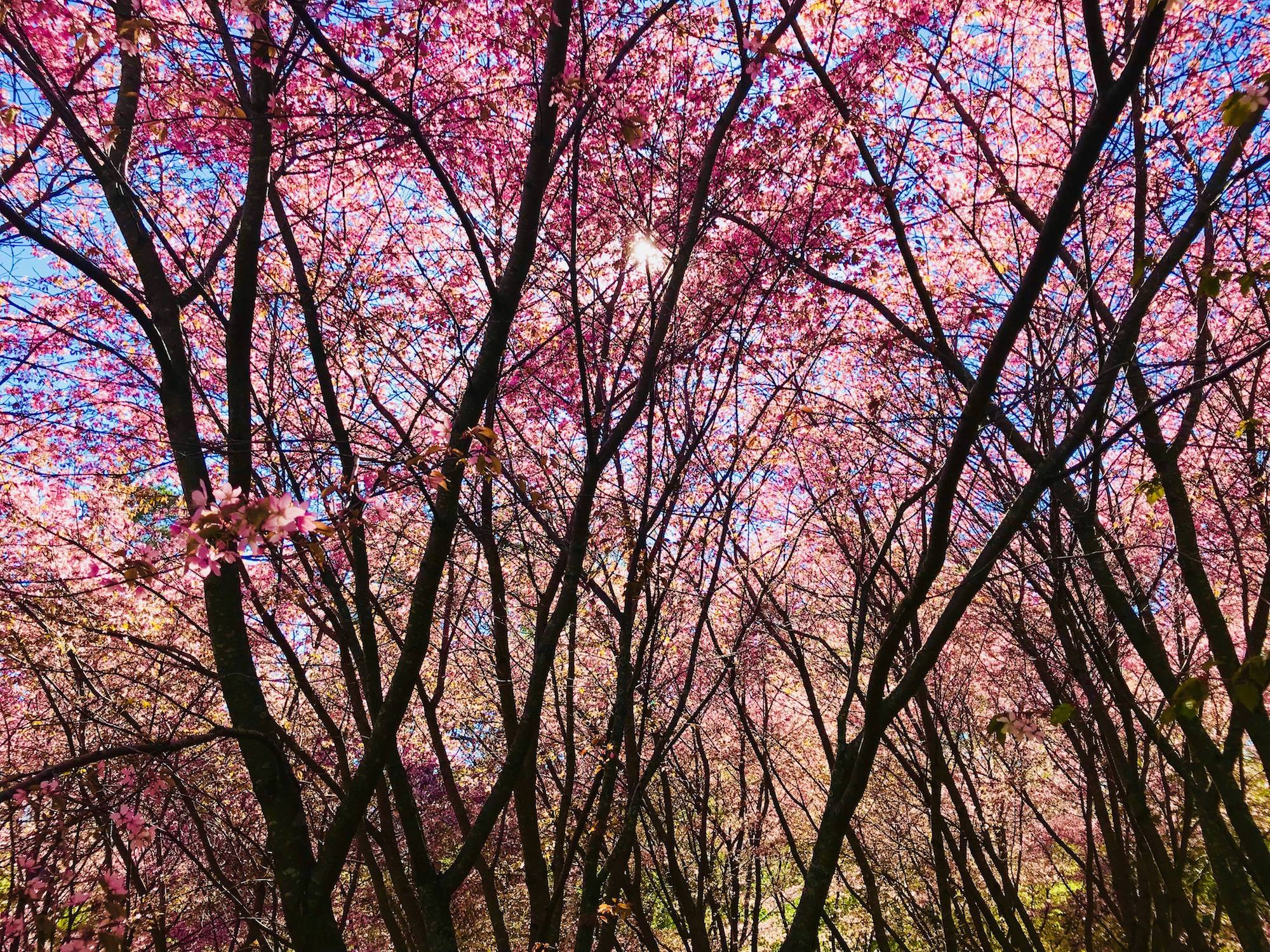Minne tällä viikolla? 9.-15.5.2022