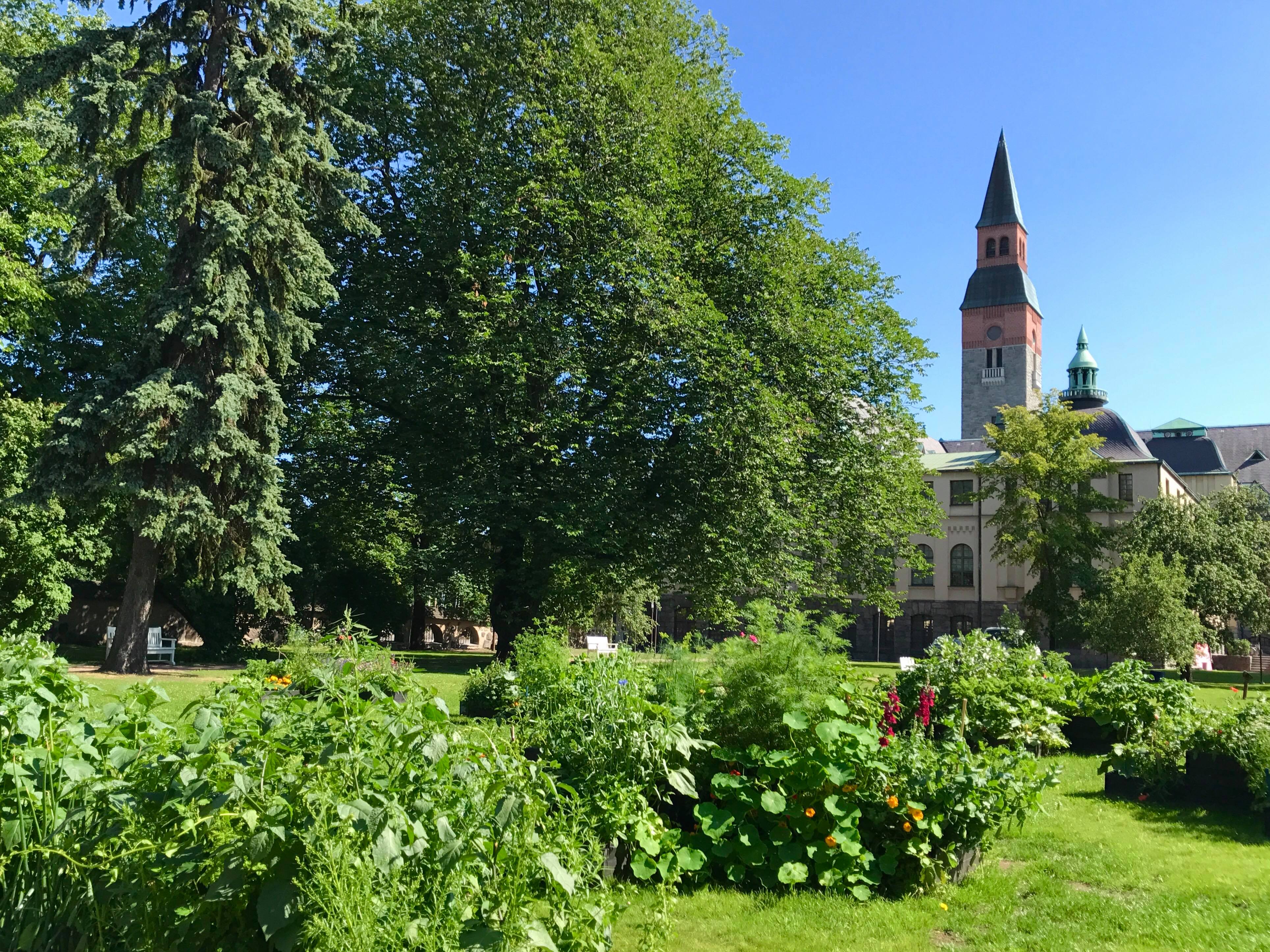 Kesäpihoja ympäri kaupunkia