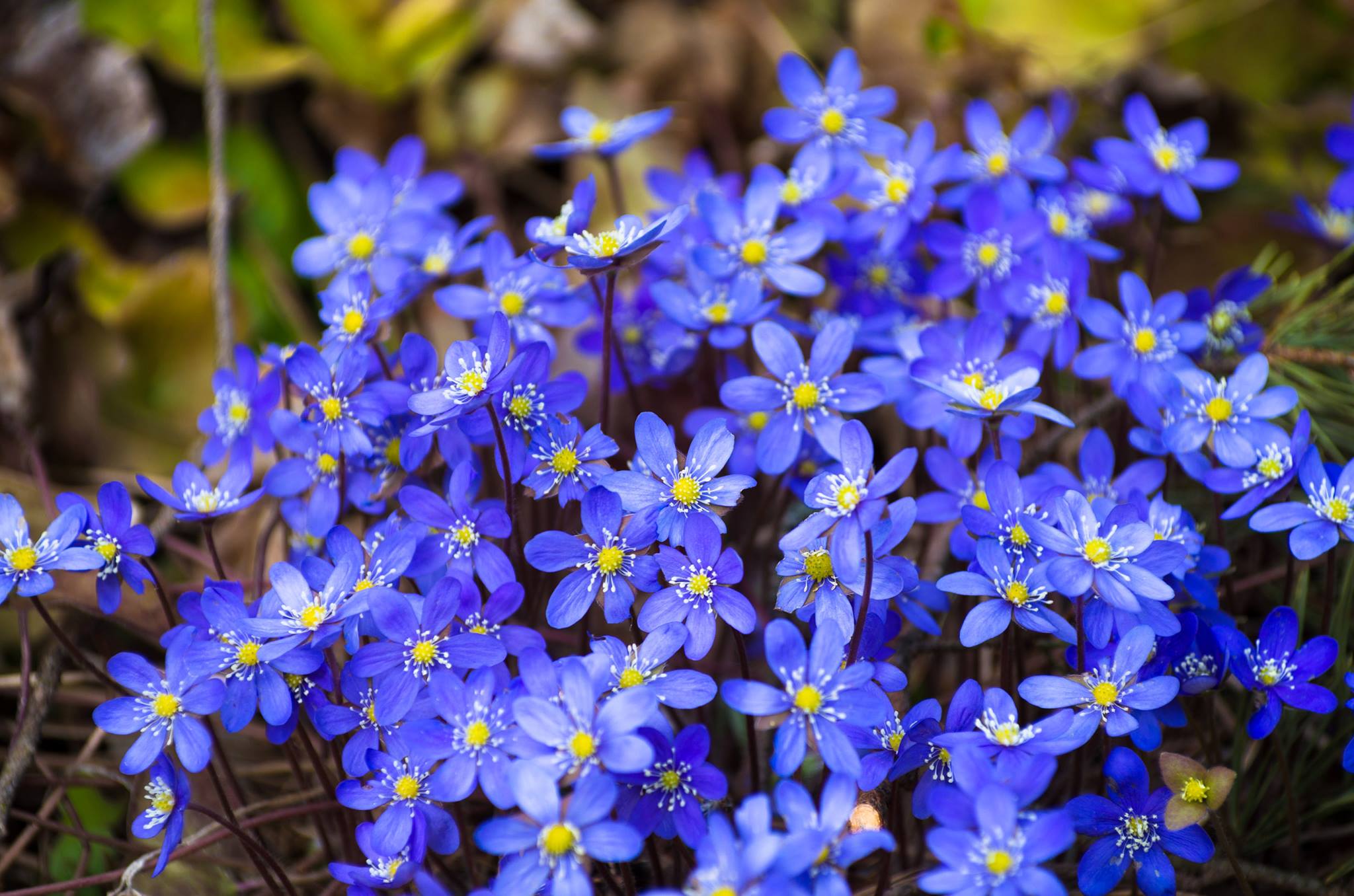 Minne tällä viikolla? 2.-8.5.2022