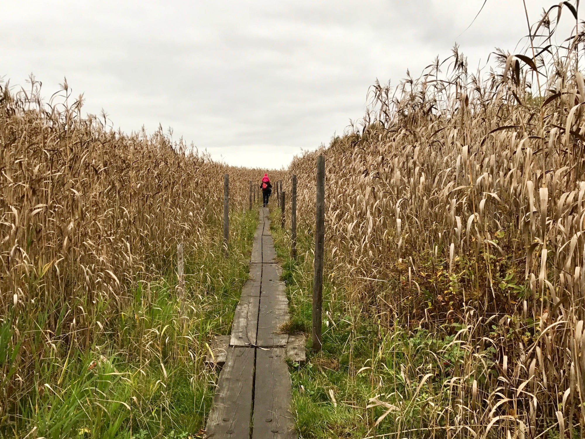 Syysloma Helsingissä 2022