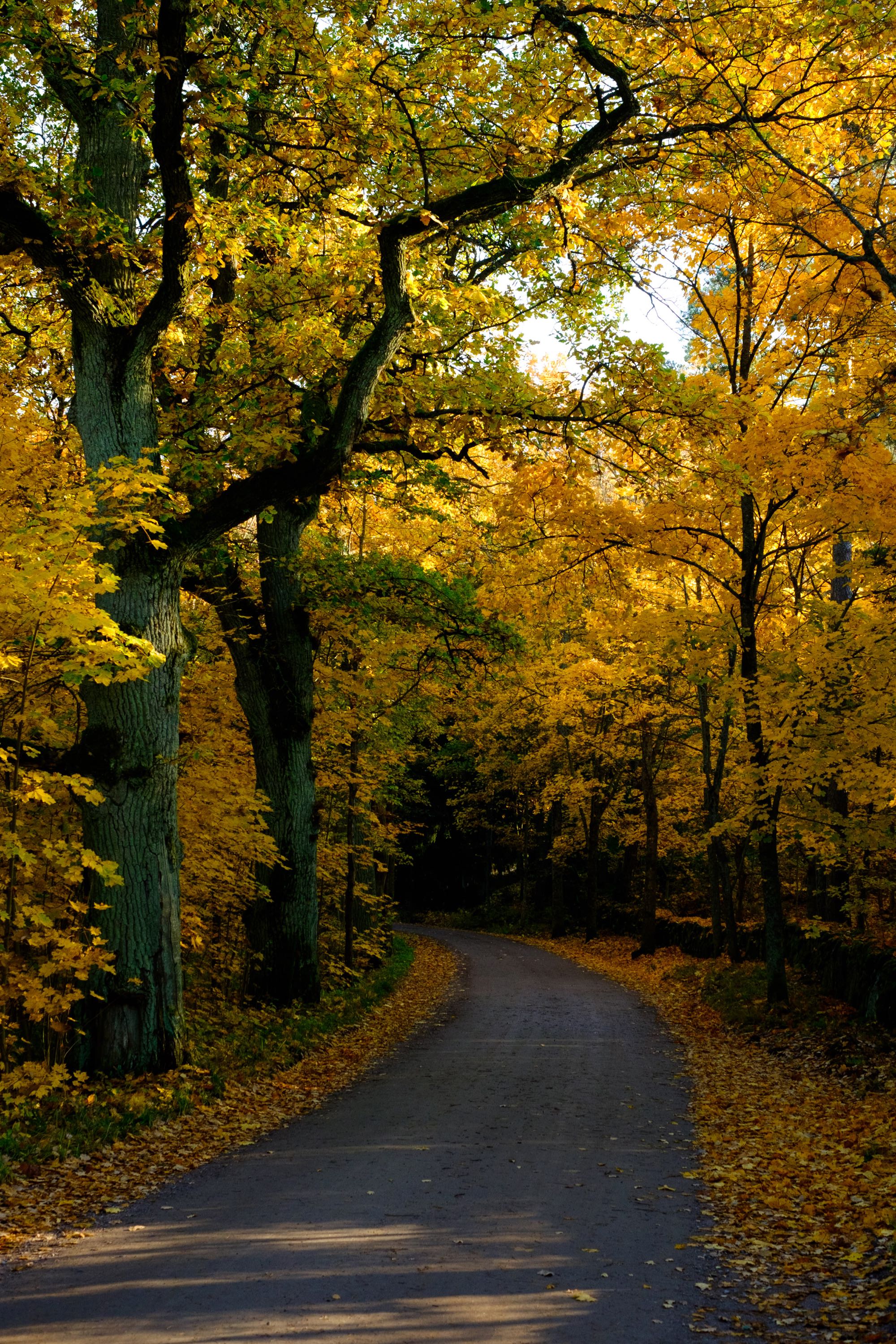 Minne tällä syyslomaviikolla? 12.-18.10.2020