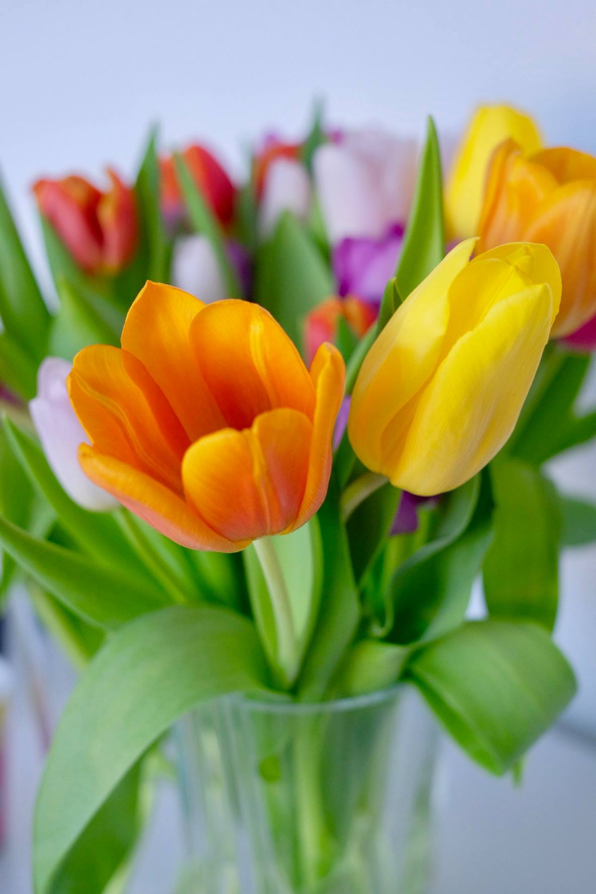 Minne tällä viikolla? 14.-21.4.2025