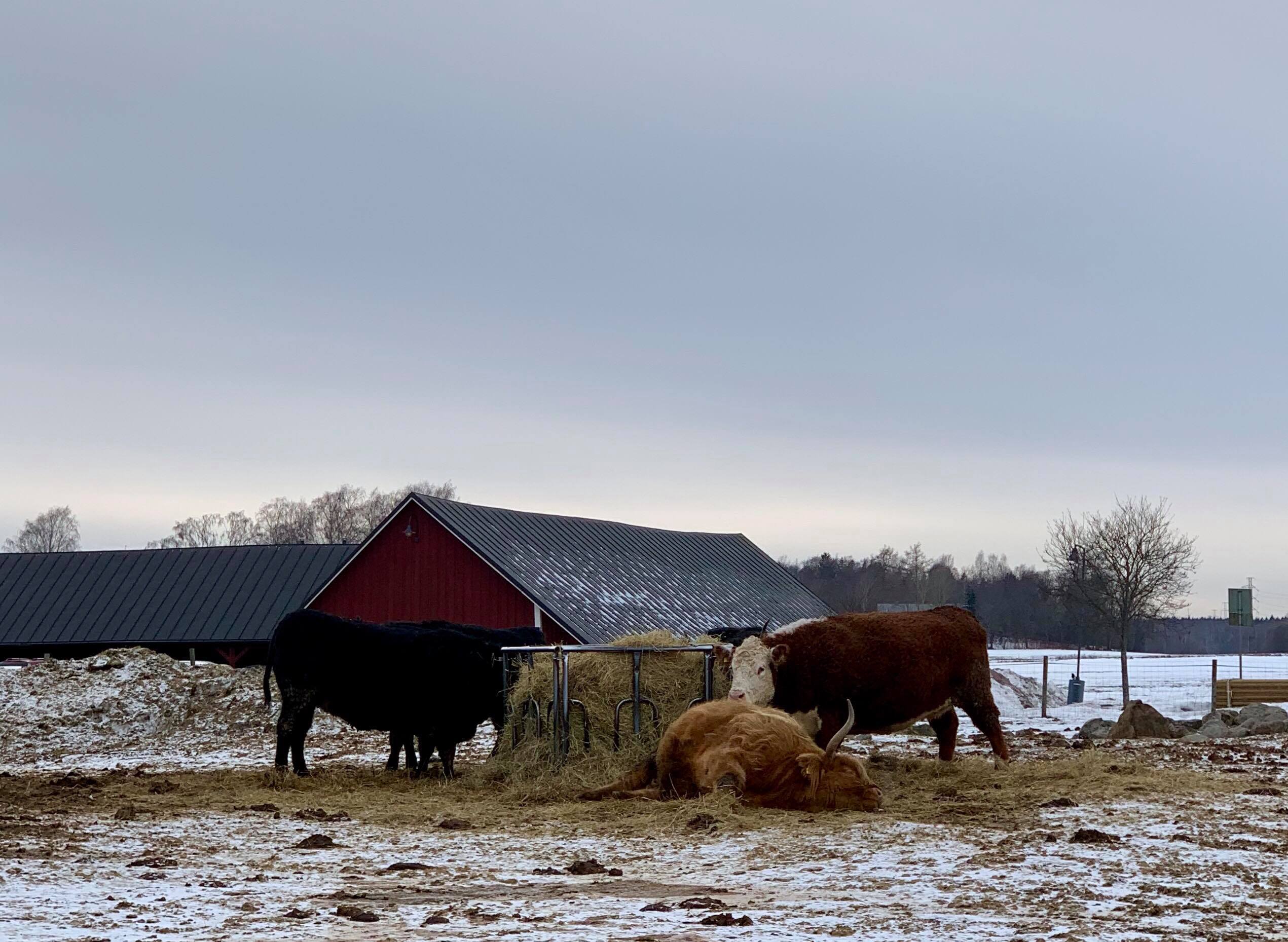 Minne talvilomaviikolla? 17.-23.2.2020