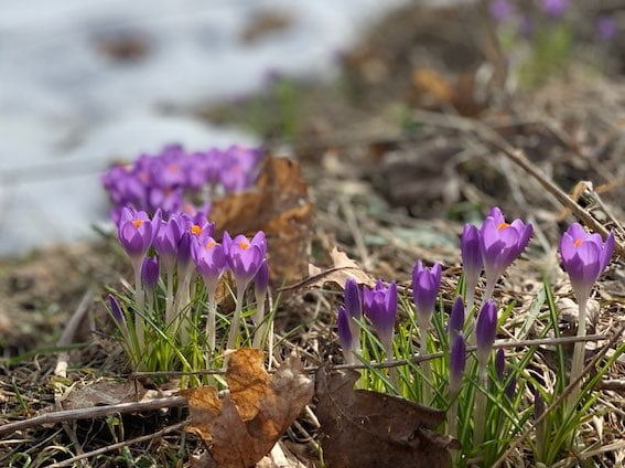Minne tällä viikolla? 19.-24.4.2022