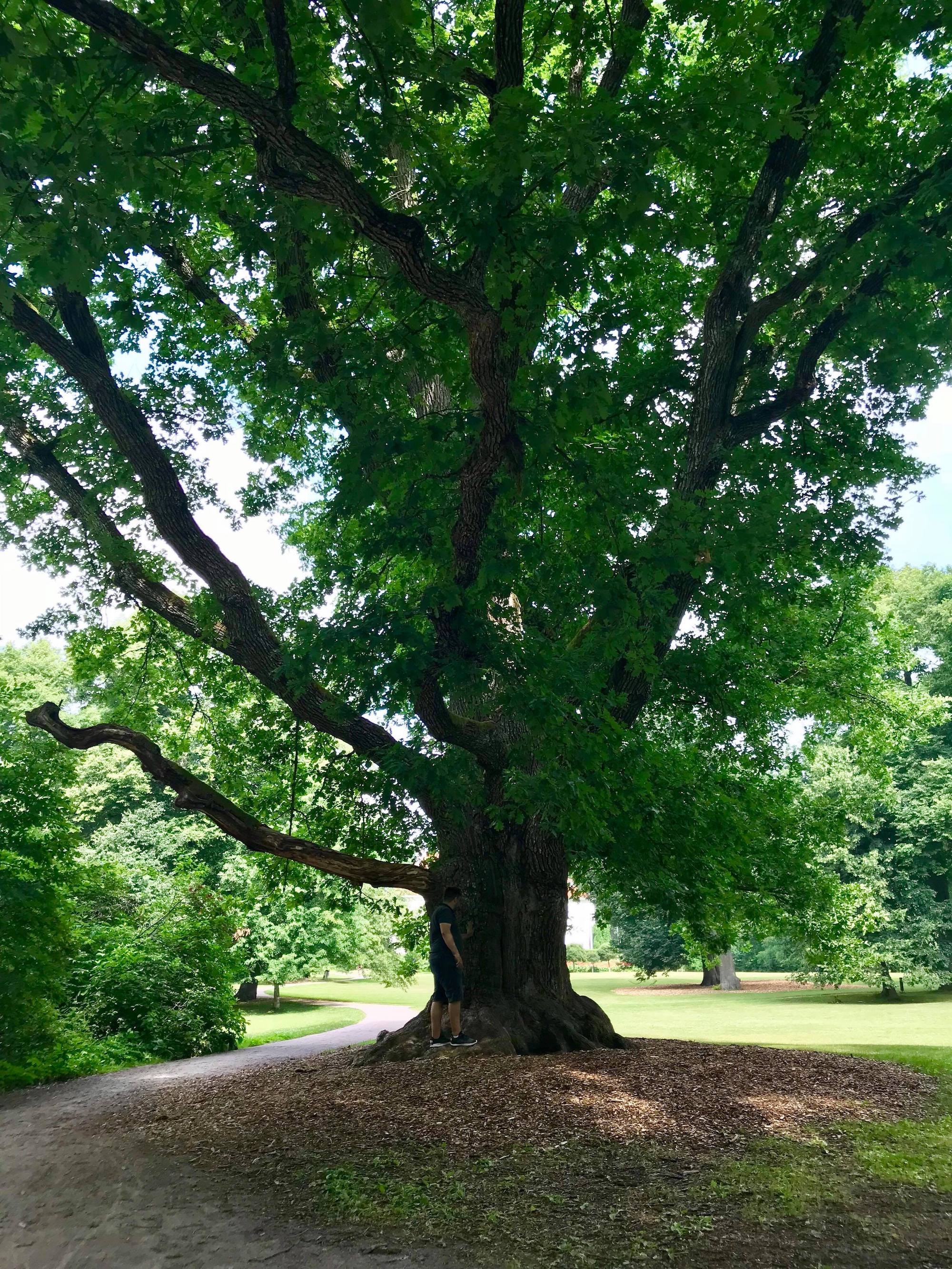 Illaksi kotiin - päiväretkellä lasten kanssa: Espoo