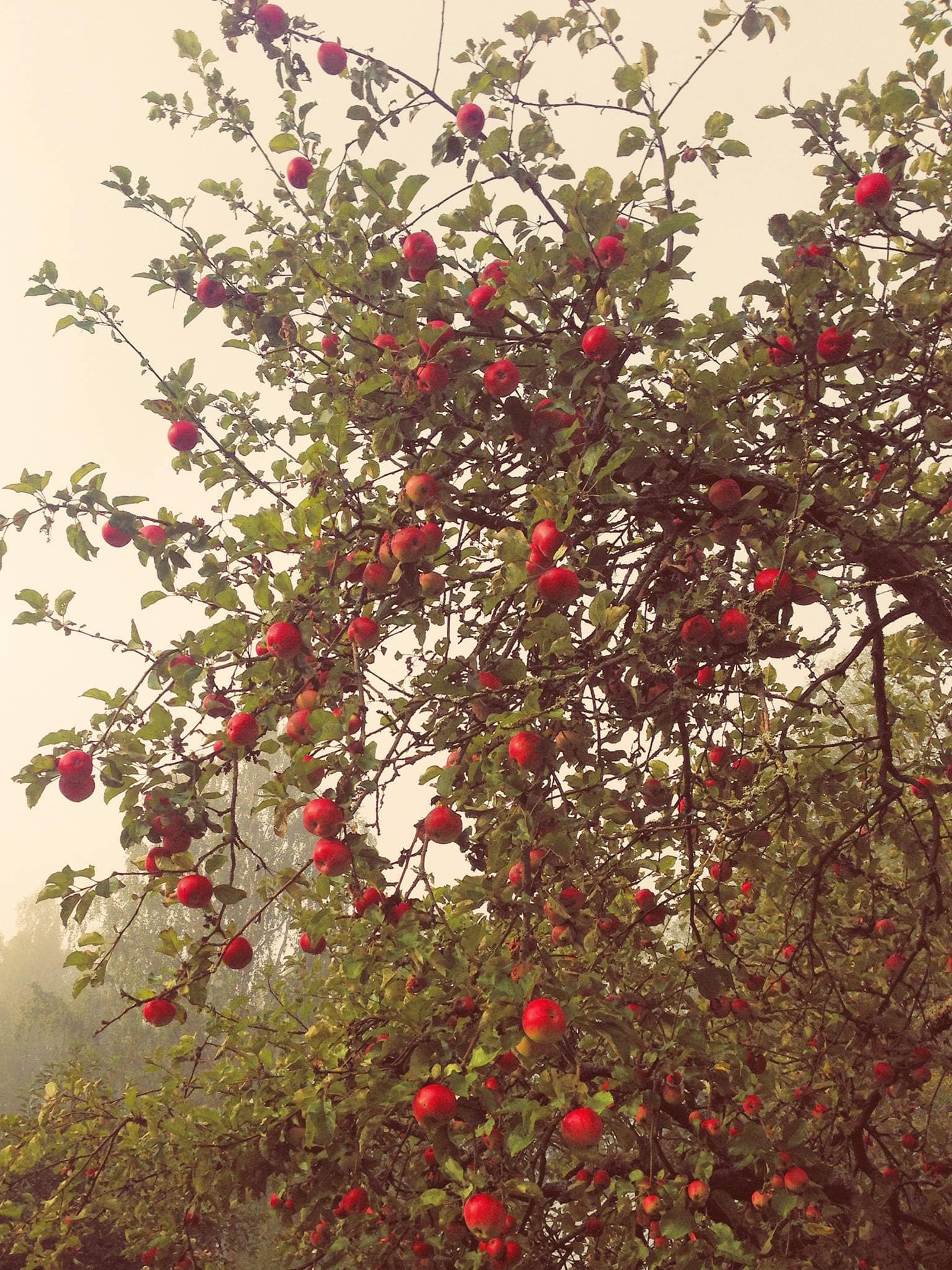 Minne tällä viikolla? 5.-11.9.2022