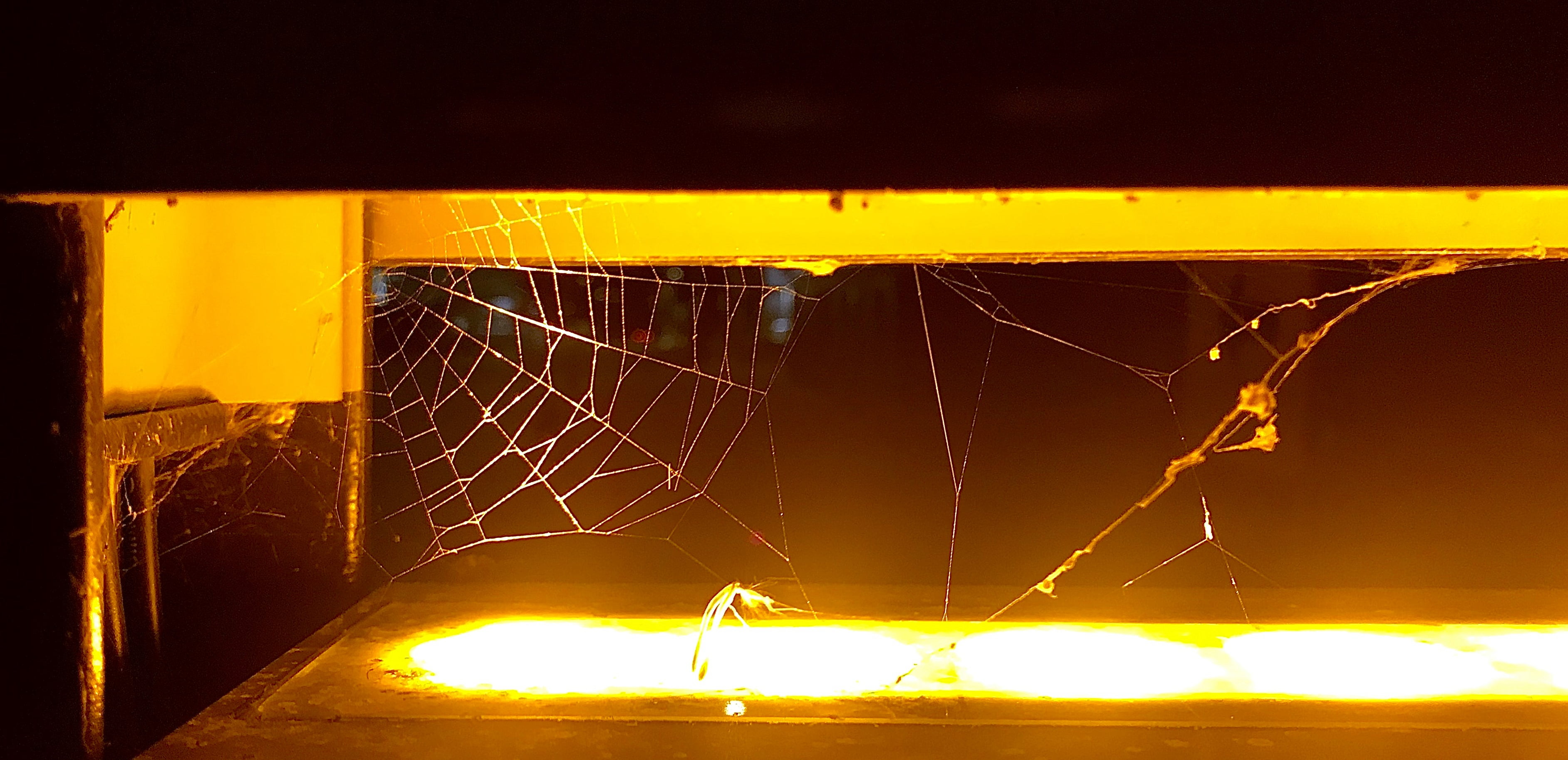 Halloween-ajan tapahtumia