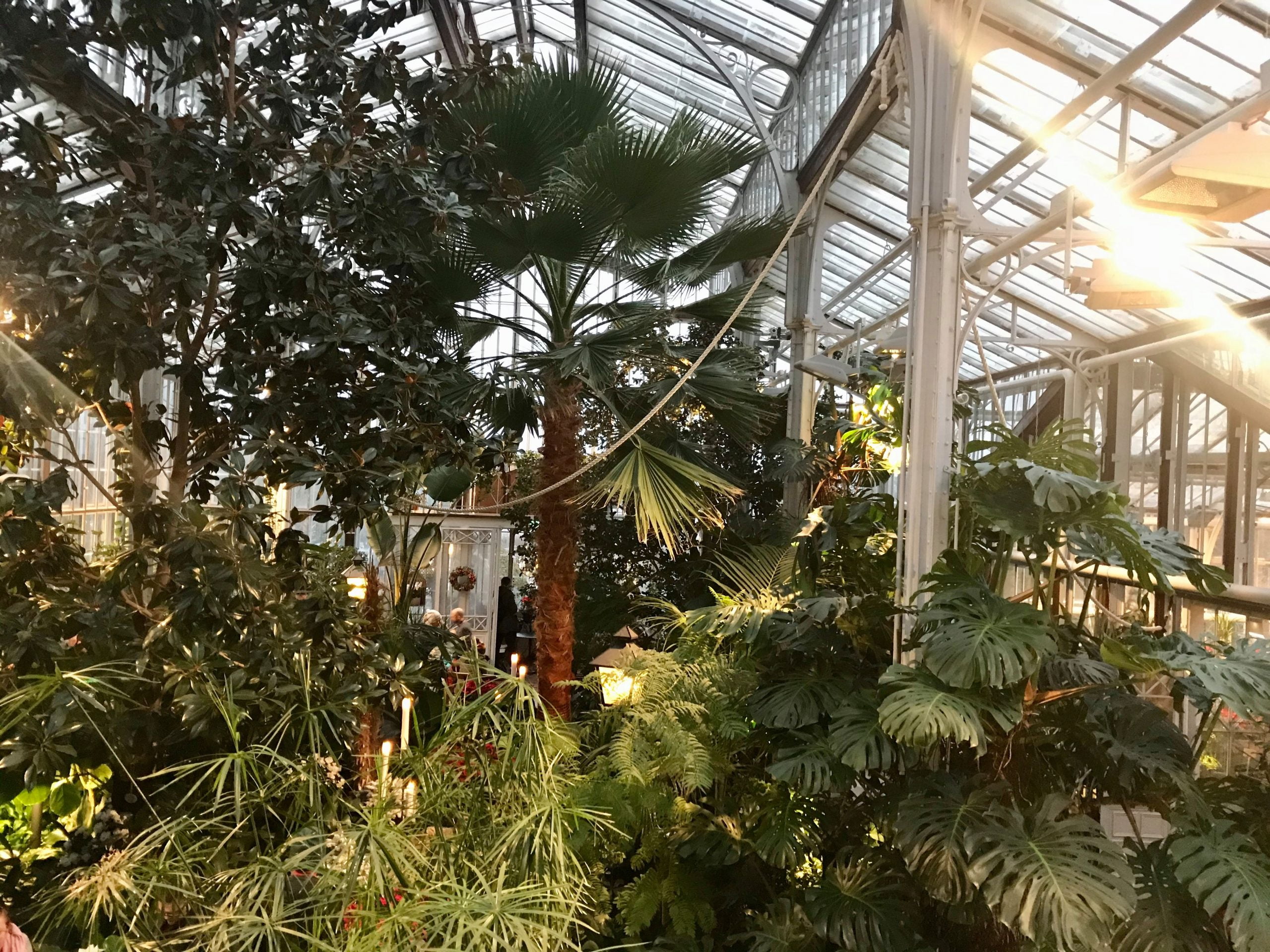 Minne tällä viikolla? 13.-19.1.2020