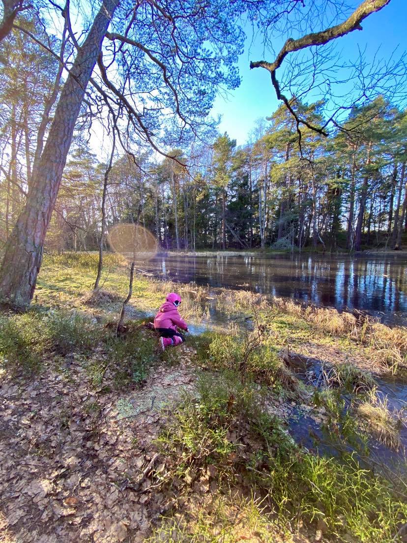 Minne tällä viikolla? 2.-8.3.2020