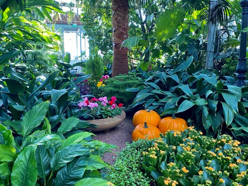 Minne tällä viikolla? 14.-20.9.2020