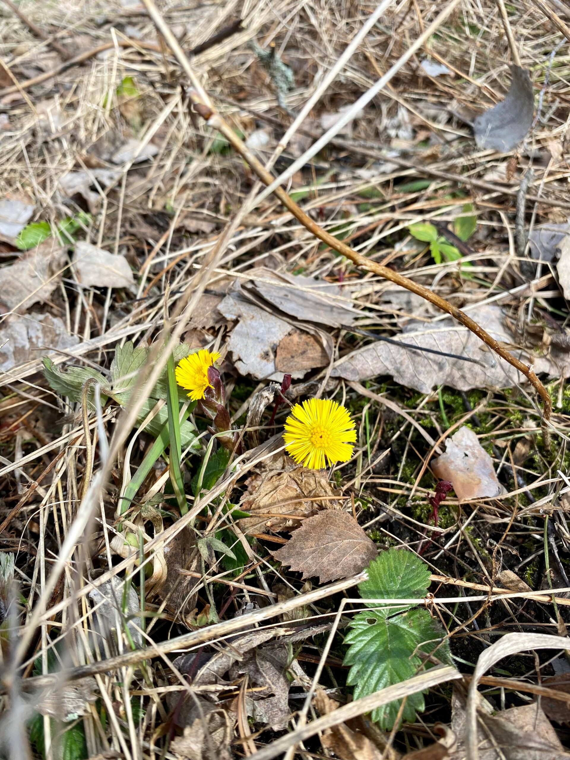 Minne tällä viikolla? 3.-10.4.2023