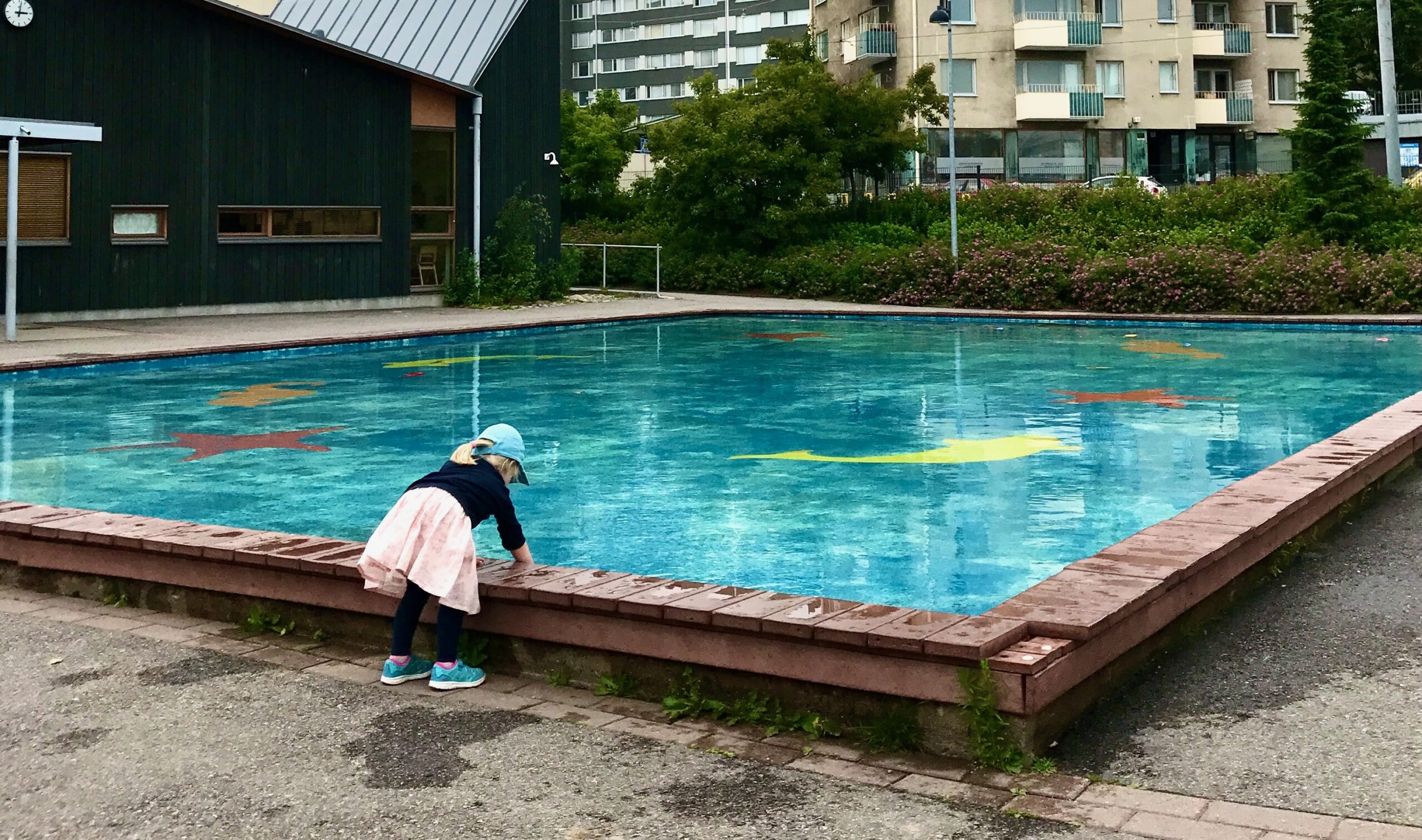 Kahluualtaita Helsingissä