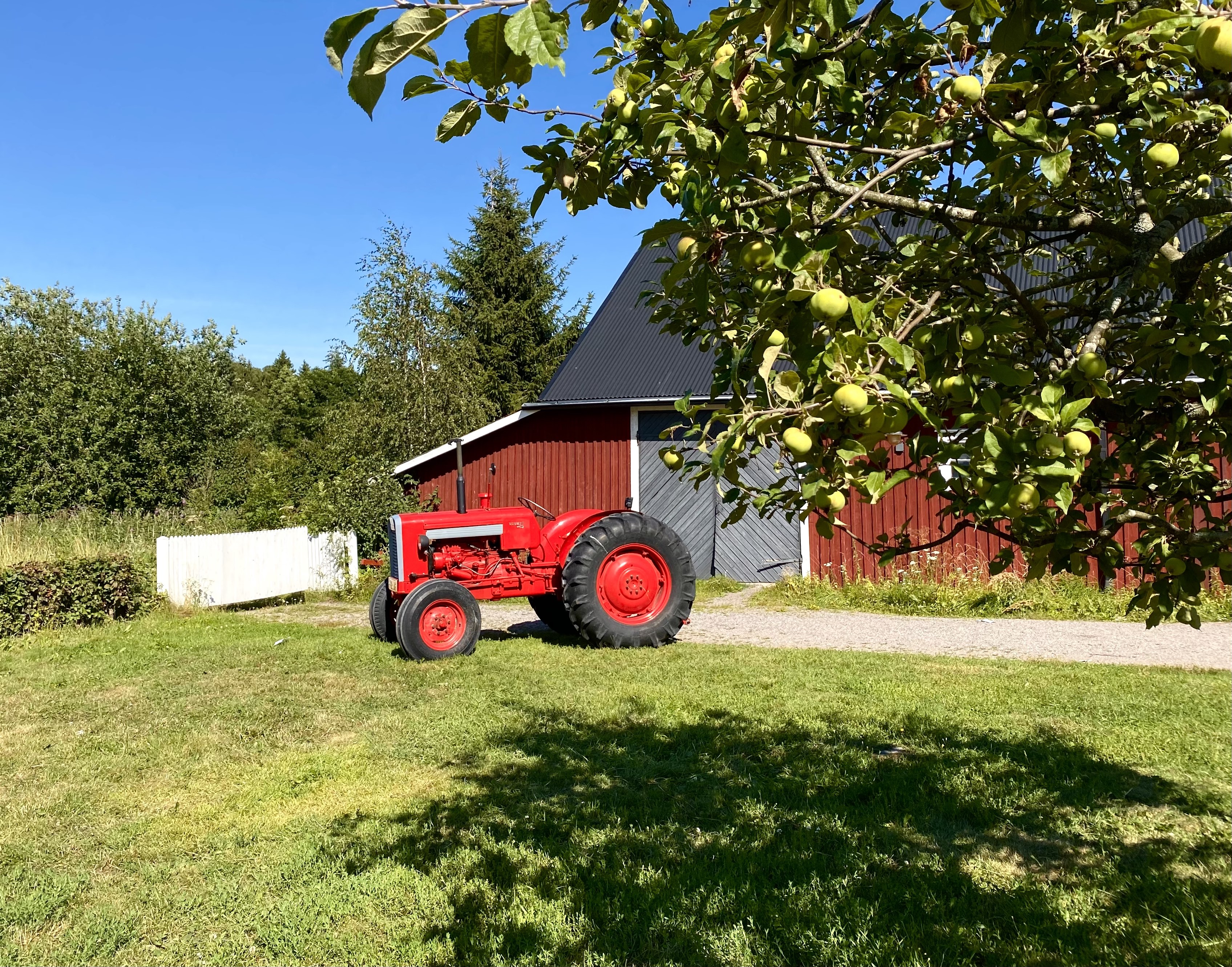 Minne tällä viikolla? 1.-7.8.2022