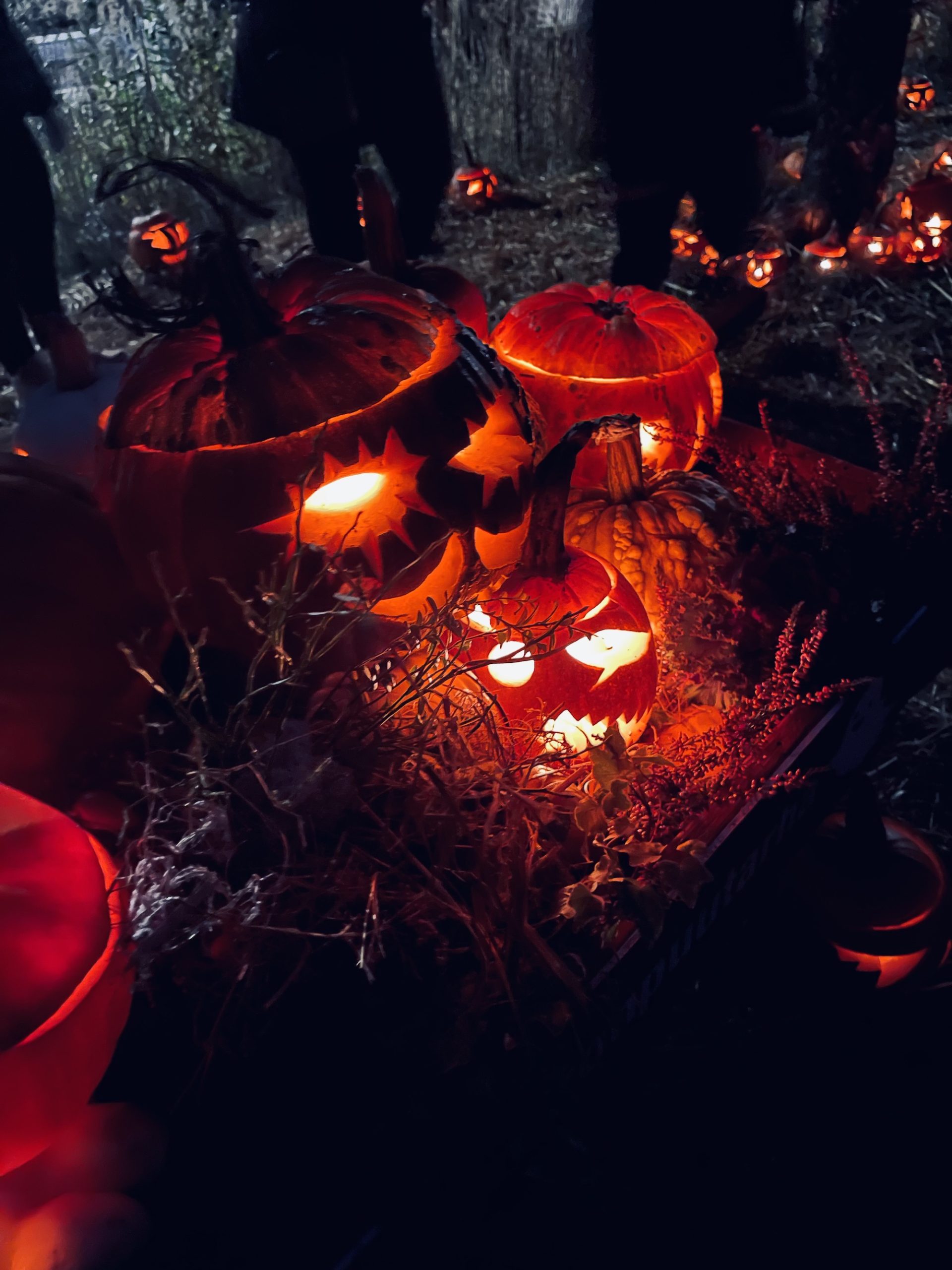 Halloween ja Pyhäinpäivä Helsingissä 2022