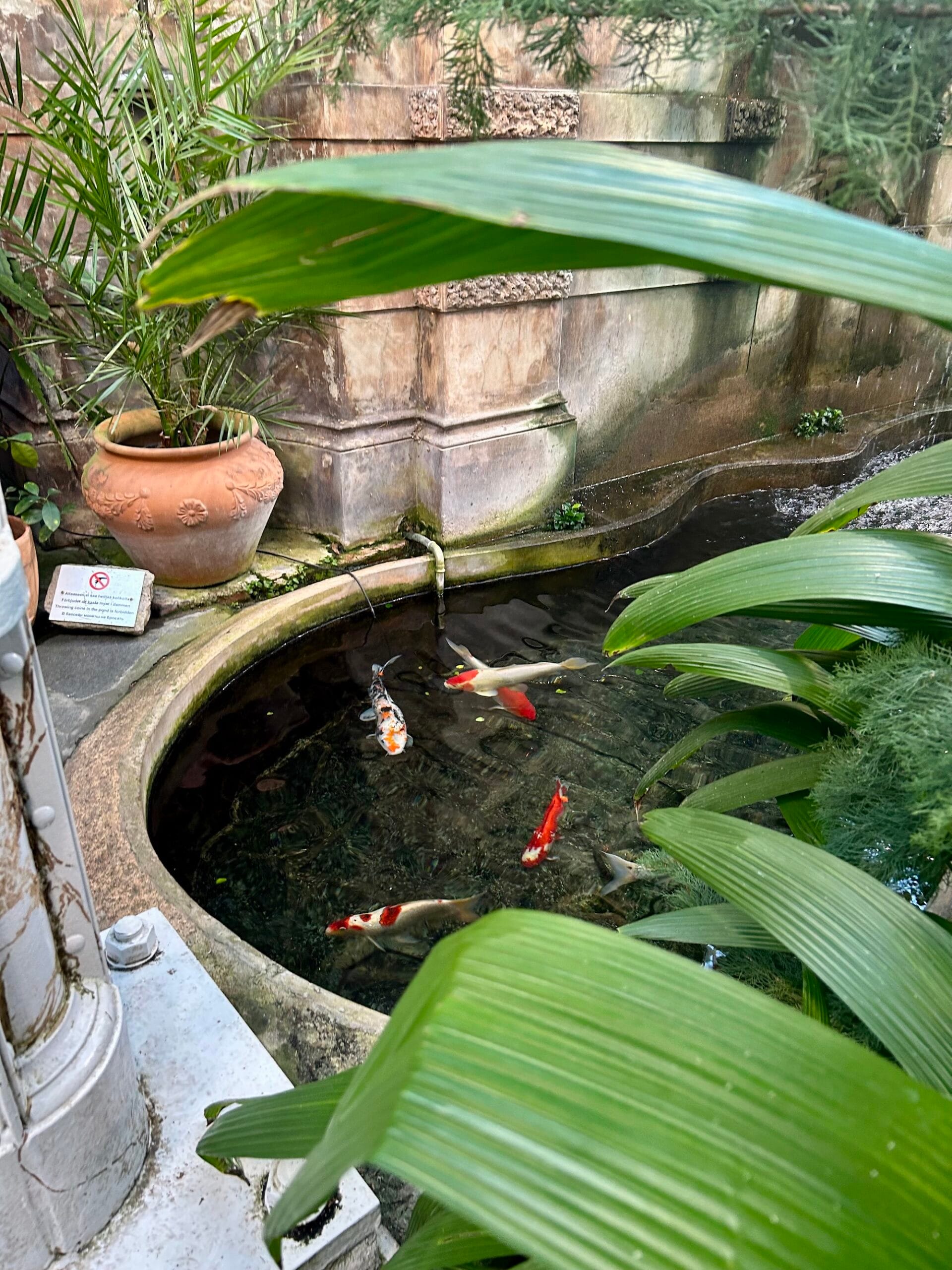 Talviloma Helsingissä ja pk-seudulla 2025