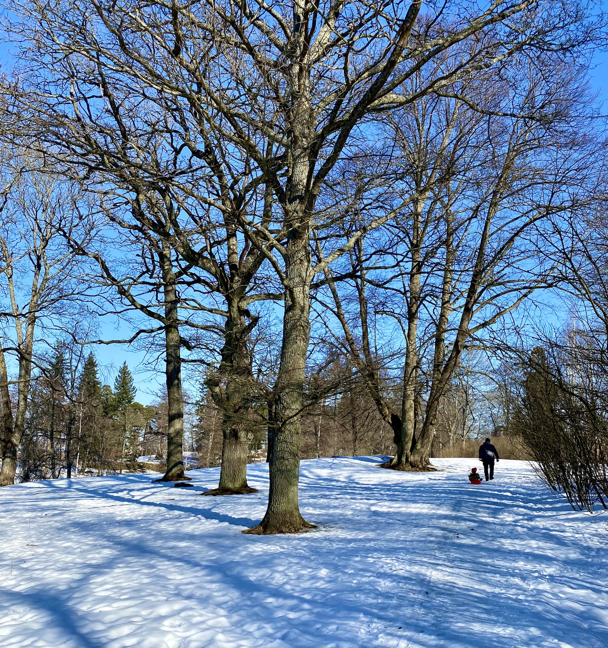 Talviloma Helsingissä 2023