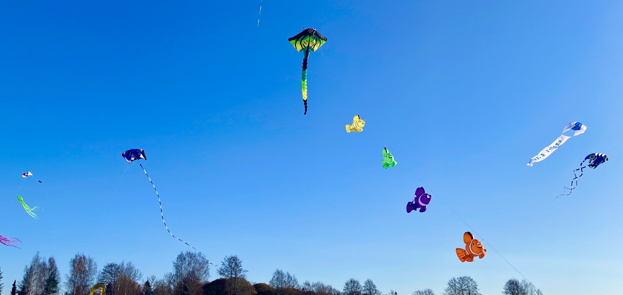 Minne tällä viikolla? 27.2.-5.3.2023