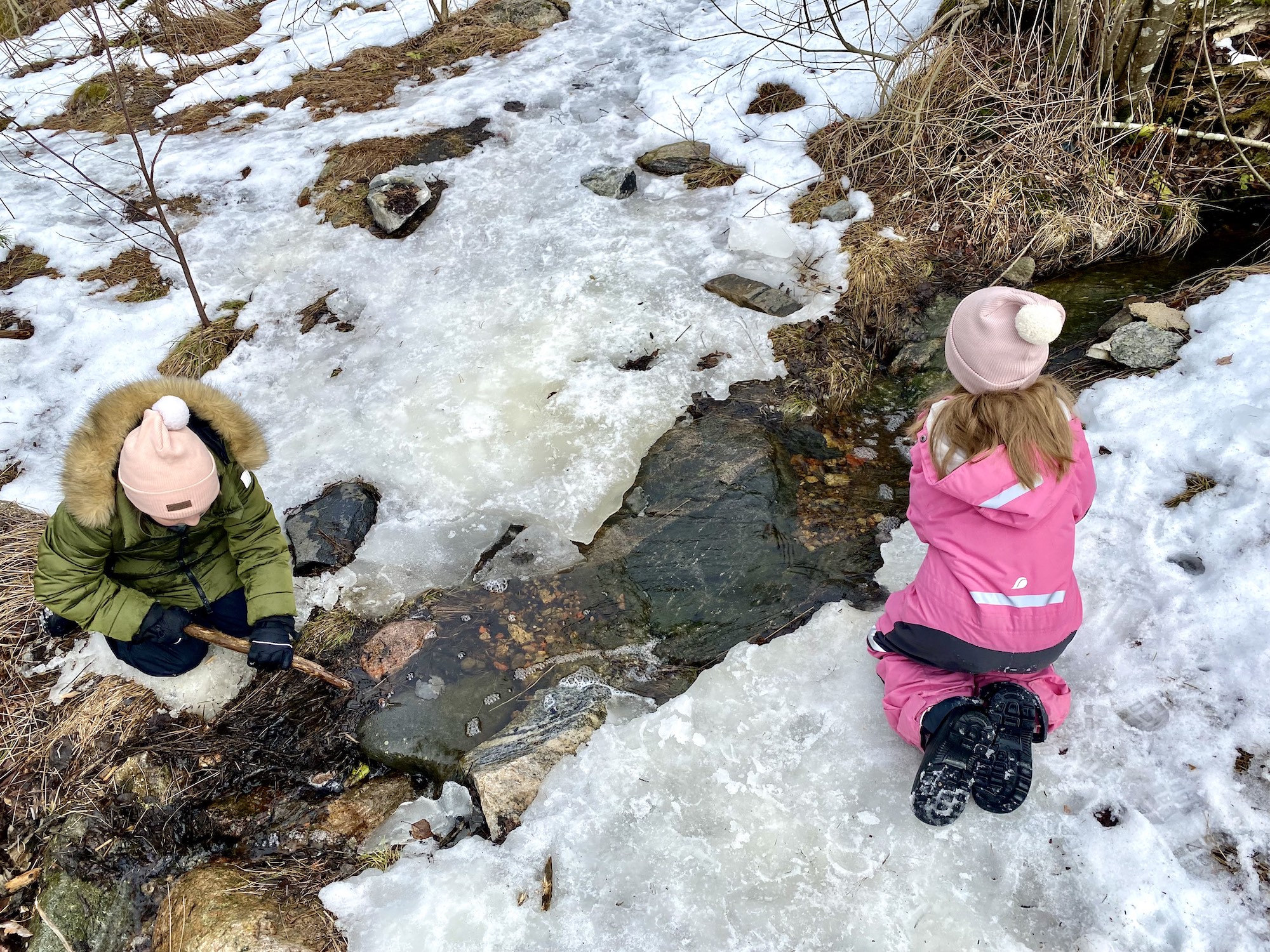 Minne tällä viikolla? 20.-26.3.2023
