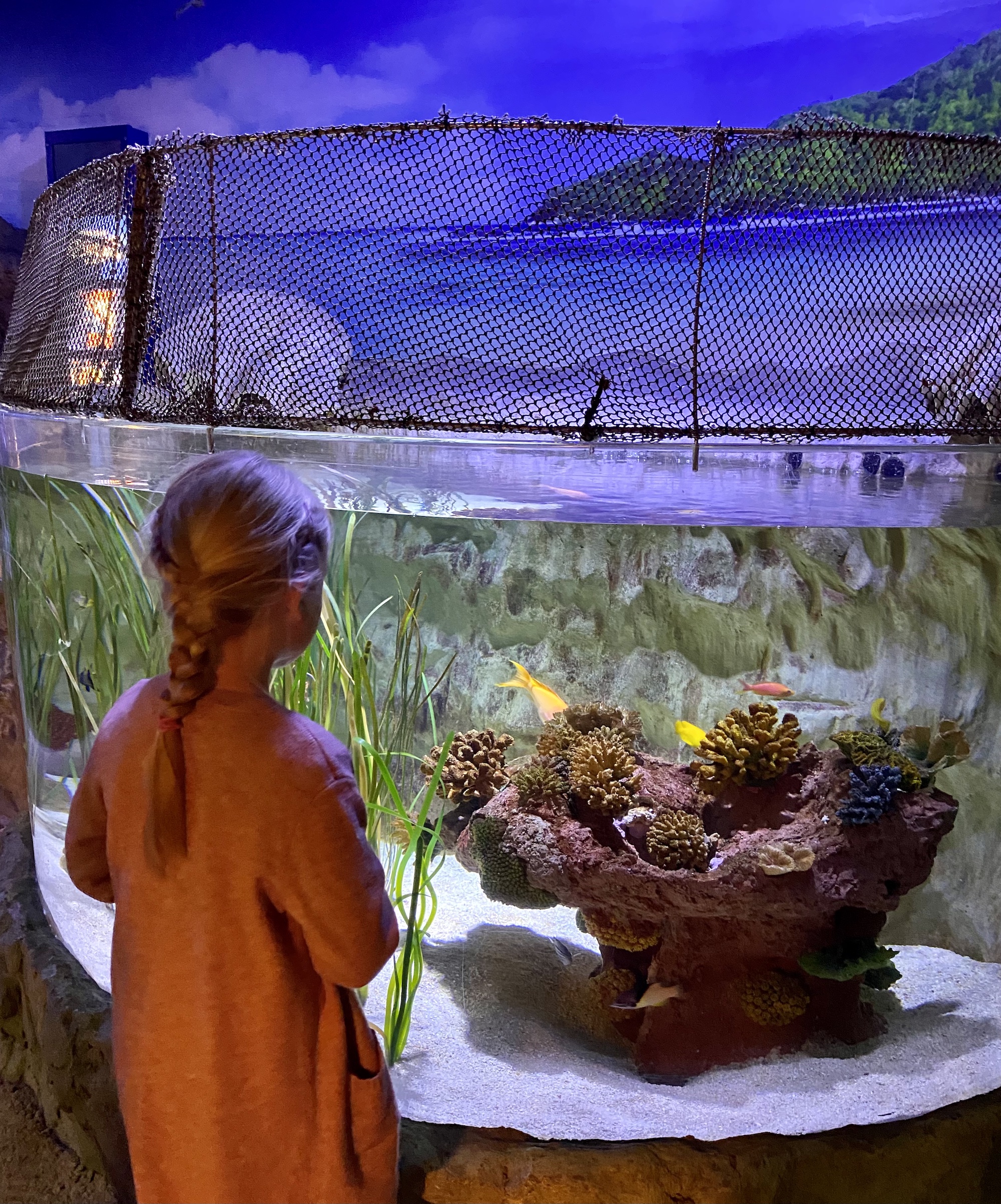 Minne tällä viikolla? 6.-12.3.2023