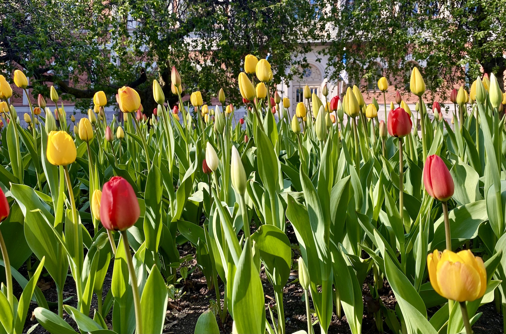 Minne tällä viikolla? 15.-21.5.2023