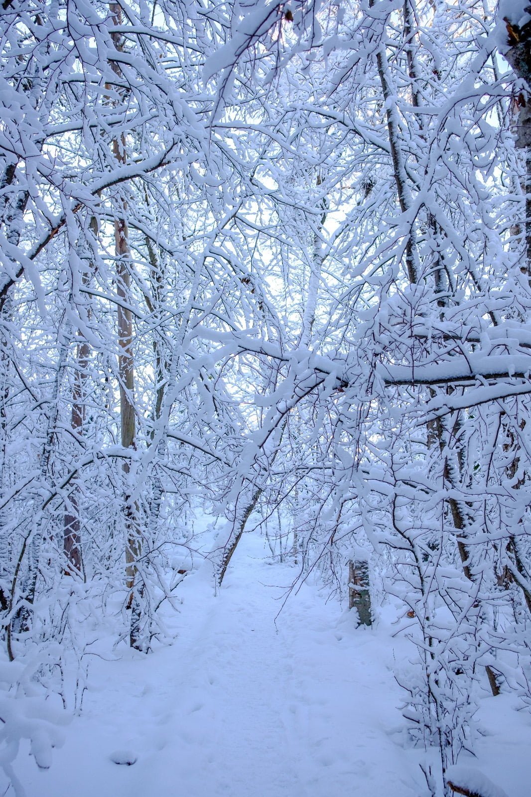 Minne tällä viikolla? 8.-14.1.2024