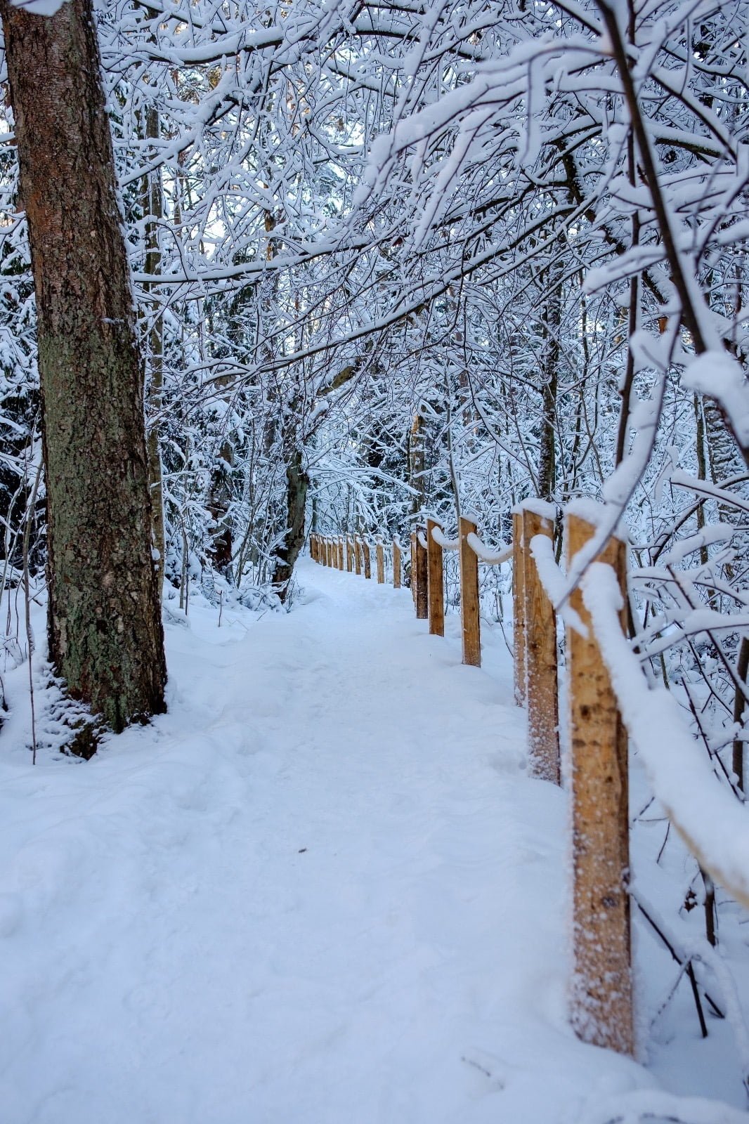 Minne tällä viikolla? 13.-19.1.2024