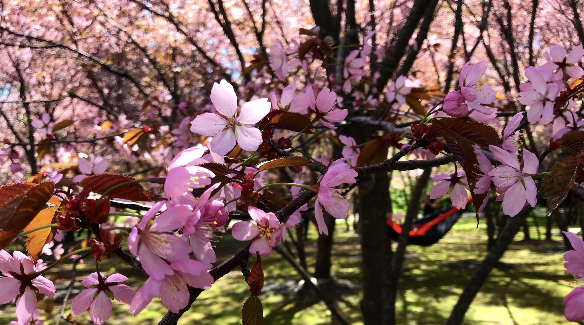 Minne tällä viikolla? 13.-19.5.2024