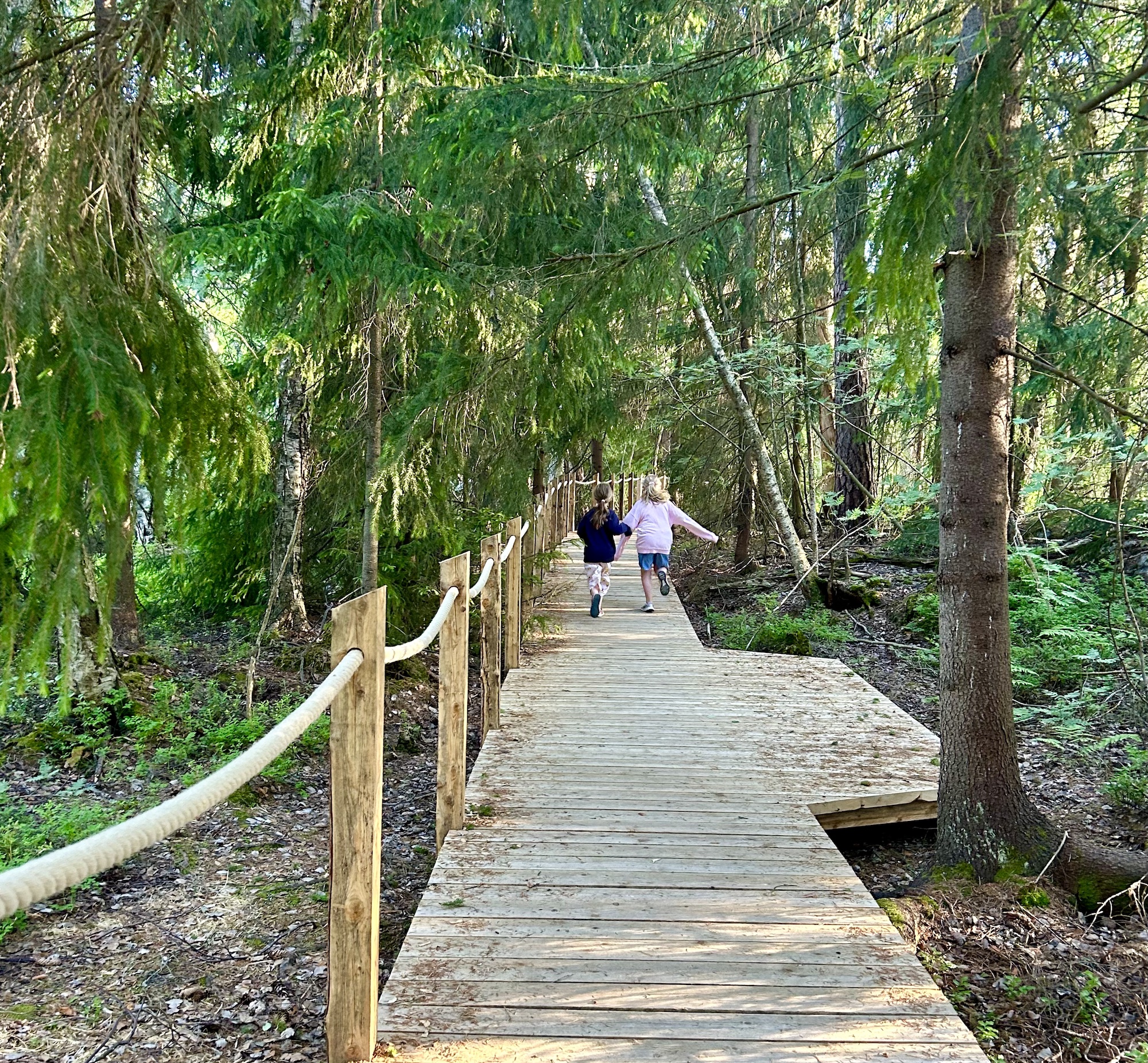 Minne tällä kesäviikolla? 24.-30.6.2024