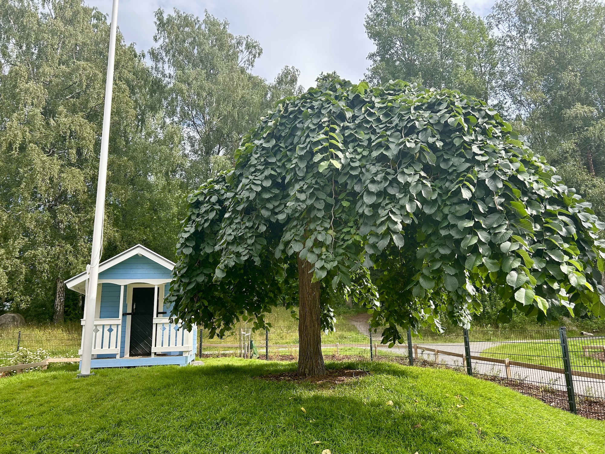 Minne tällä kesäviikolla? 5.-11.8.2024