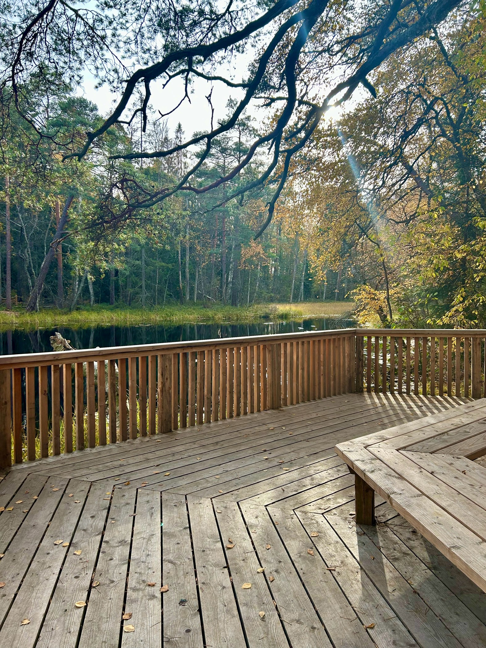 Minne tällä viikolla? 21.-27.10.2024