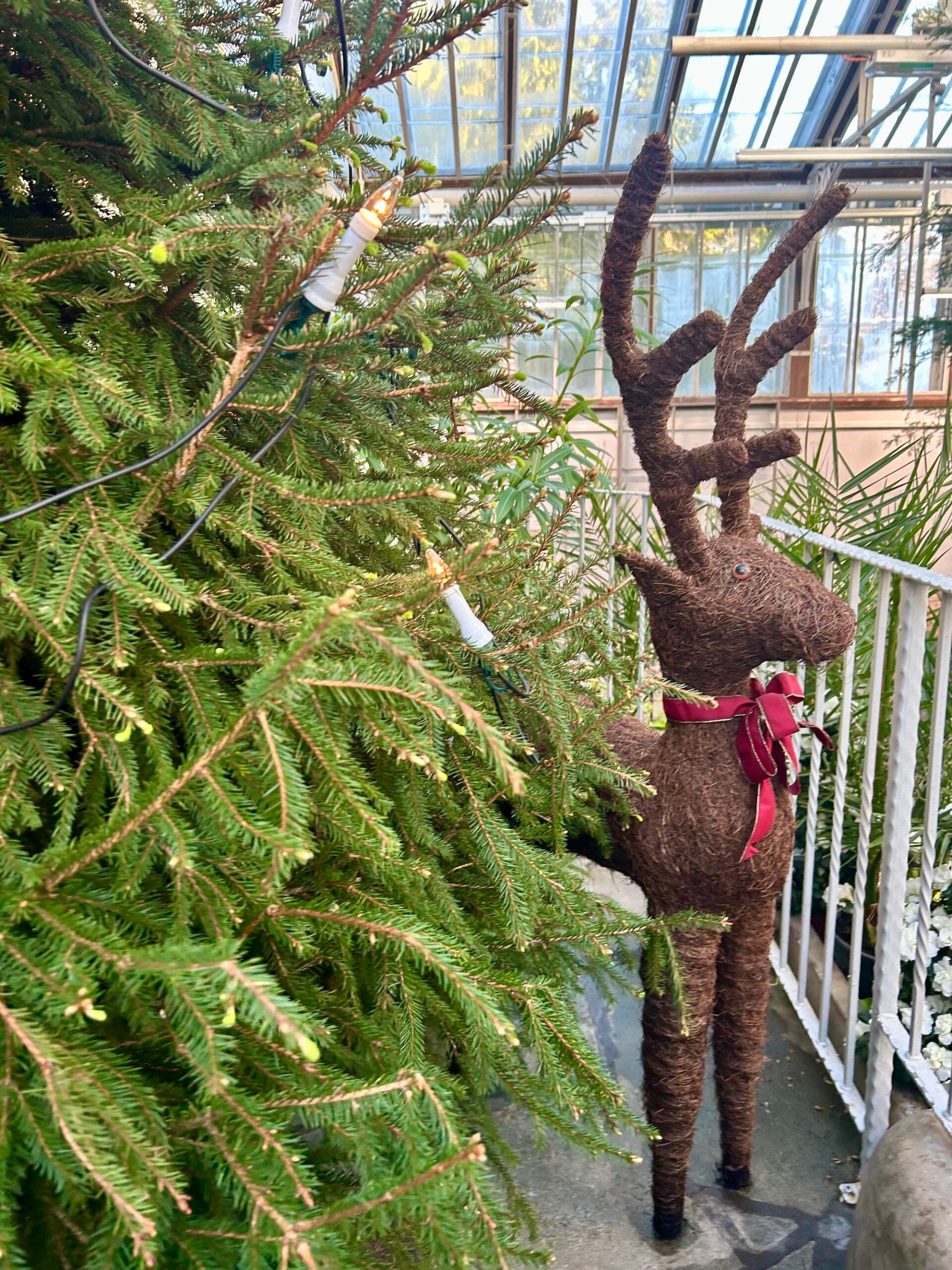 Minne tällä jouluviikolla? 15.-21.12.2025