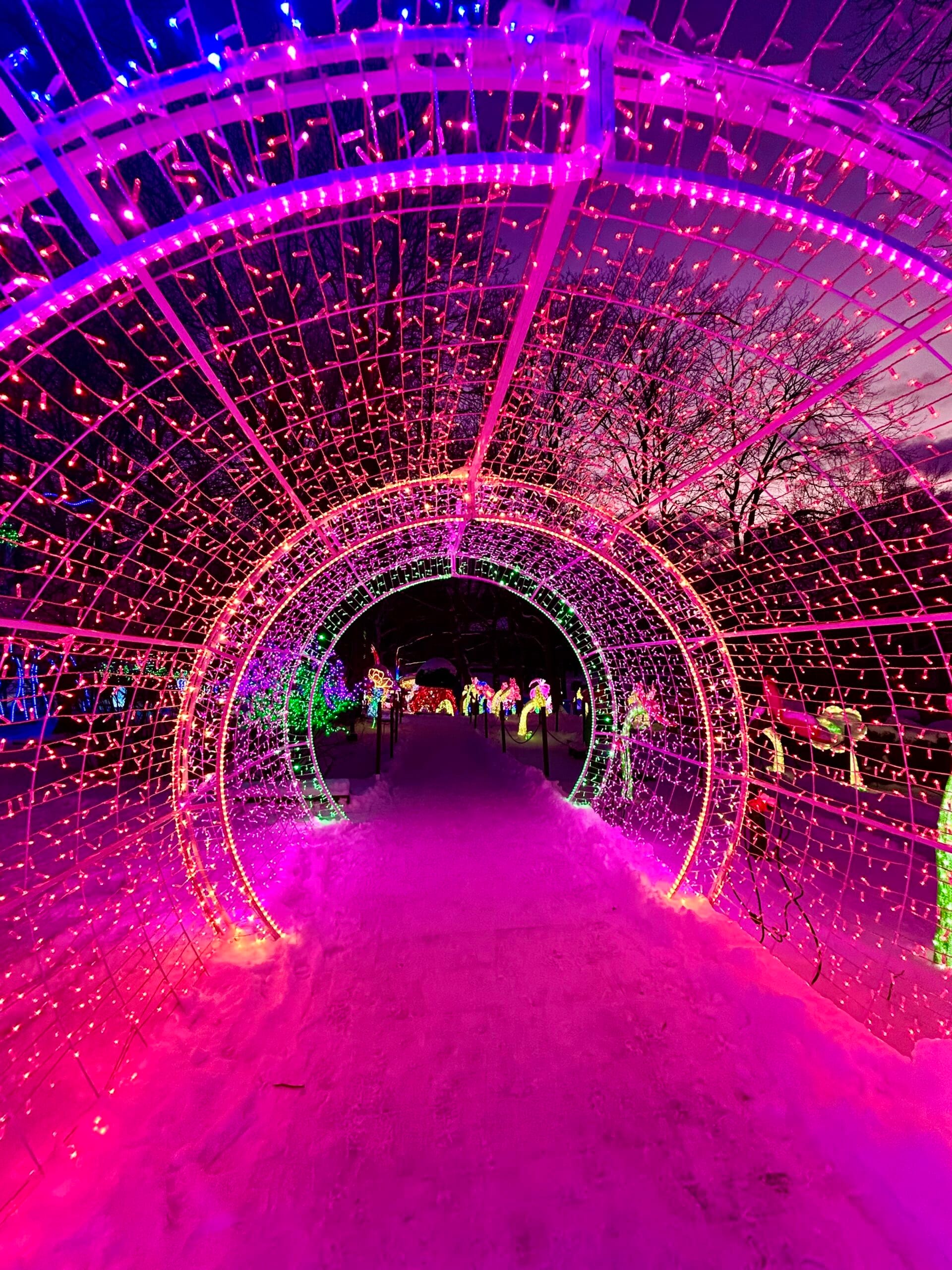 Minne tällä viikolla? 24.2.-2.3.2025