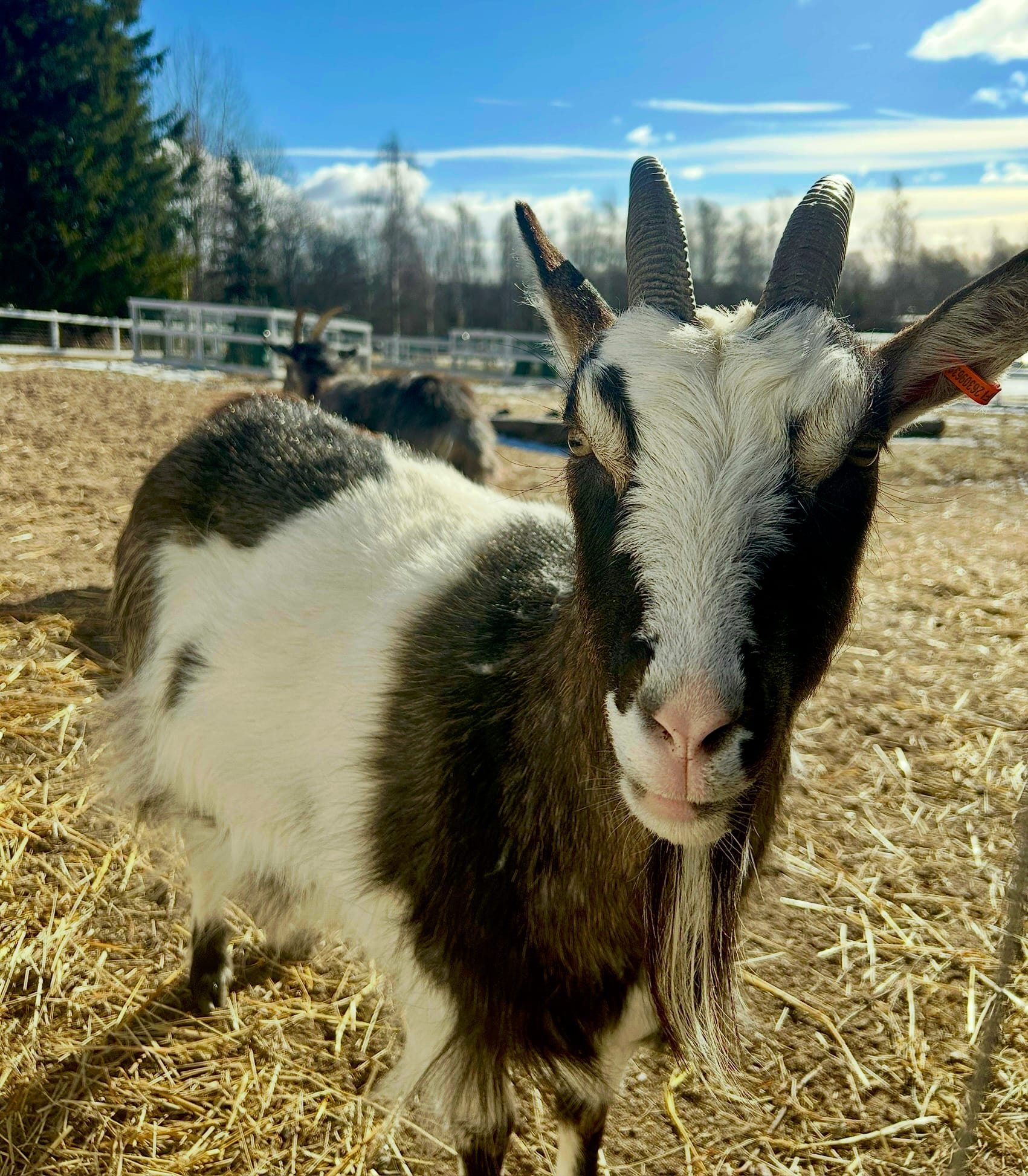 Minne tällä viikolla? 24.-30.3.2025