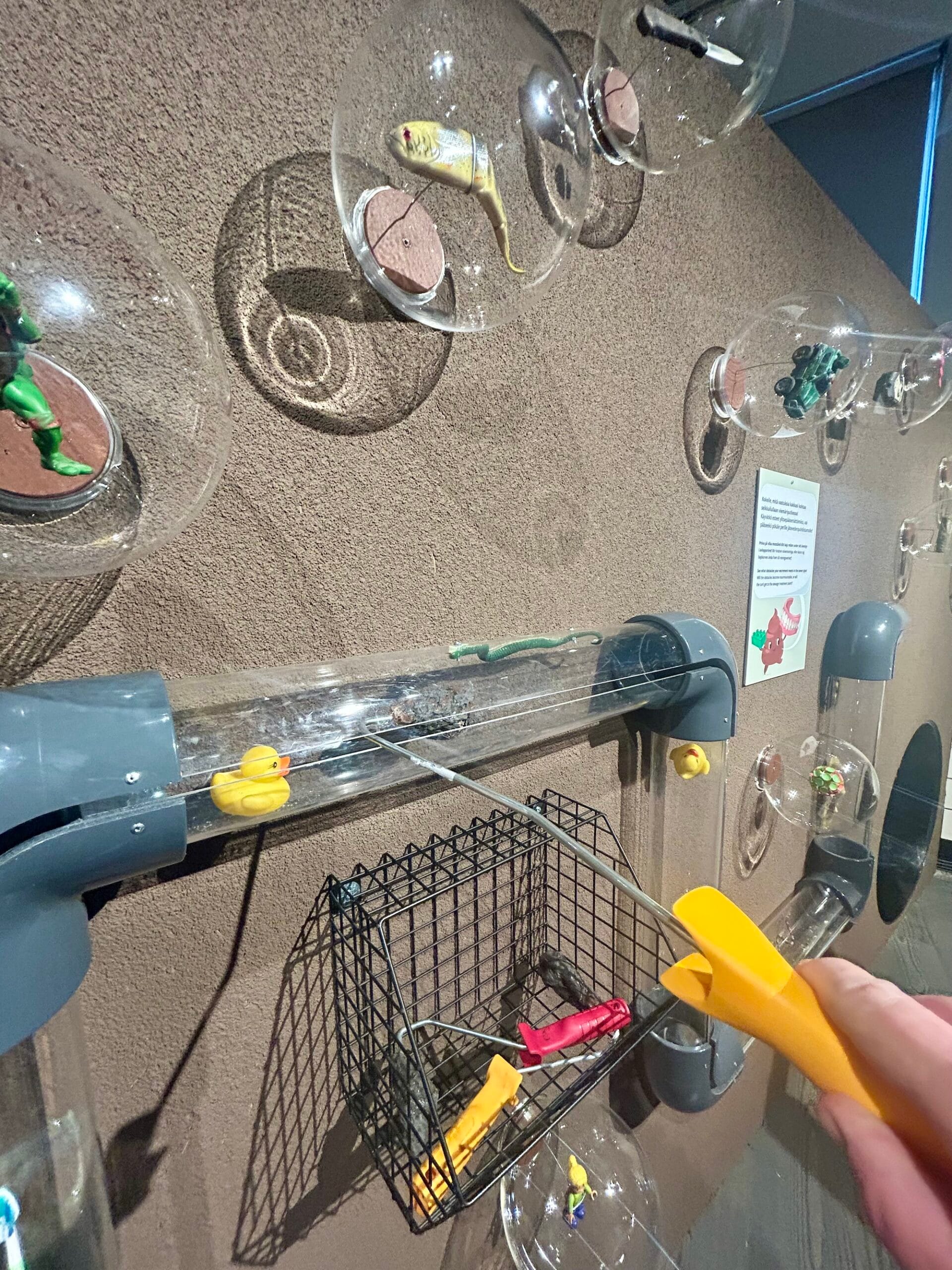 Minne tällä viikolla? 12.-18.5.2025