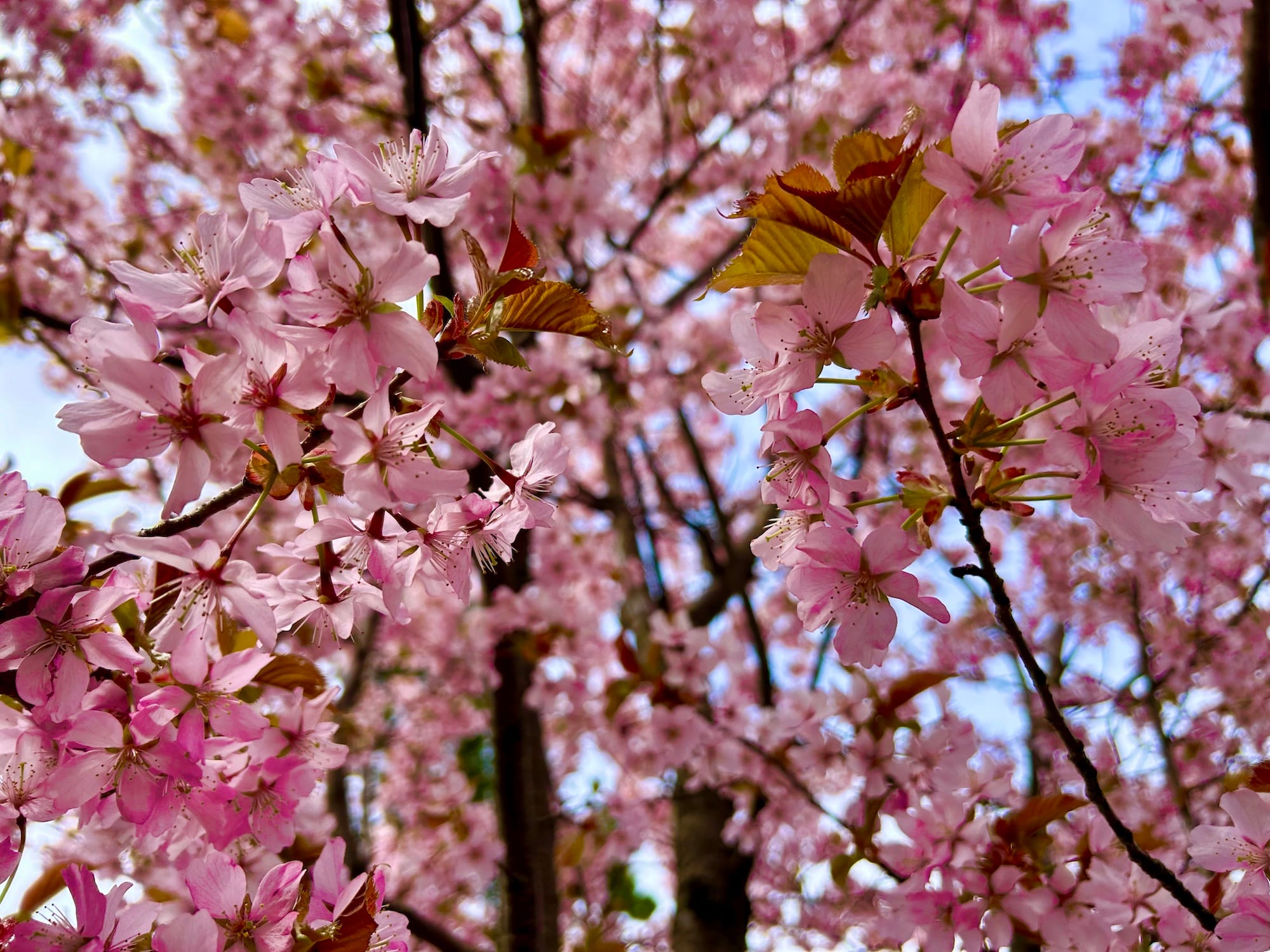 Minne tällä viikolla? 5.-11.5.2025