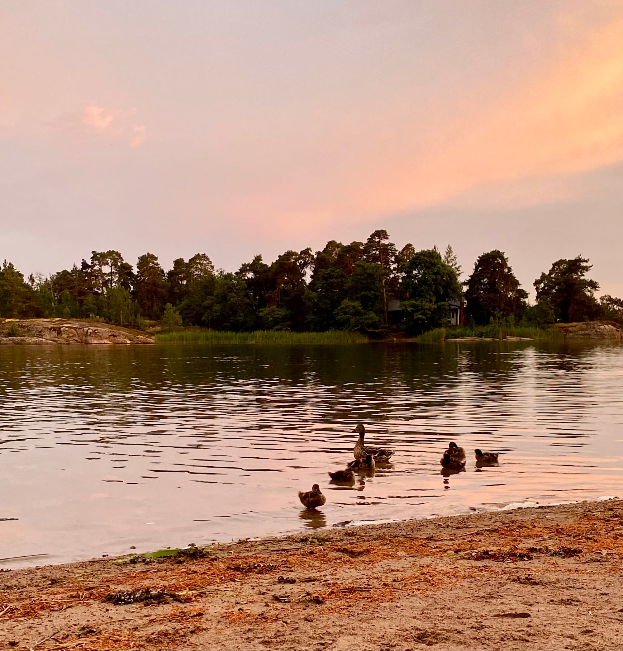 Juhannus Helsingissä 2025