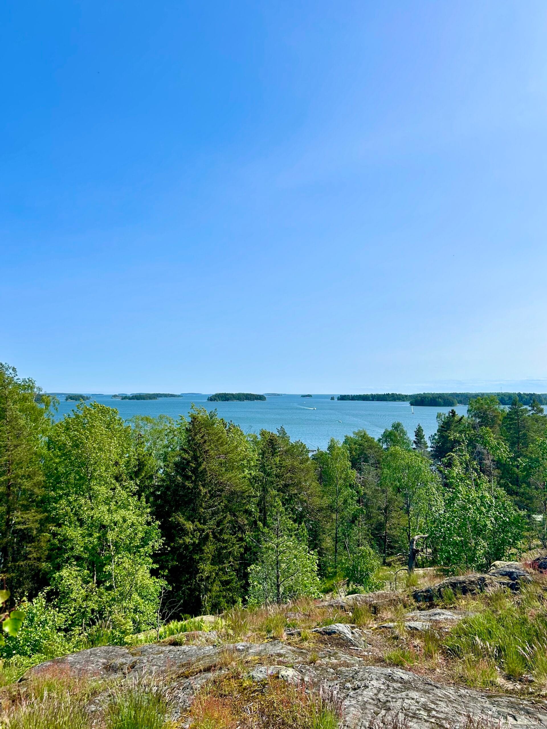 Minne tällä kesäviikolla? 9.-15.6.2025