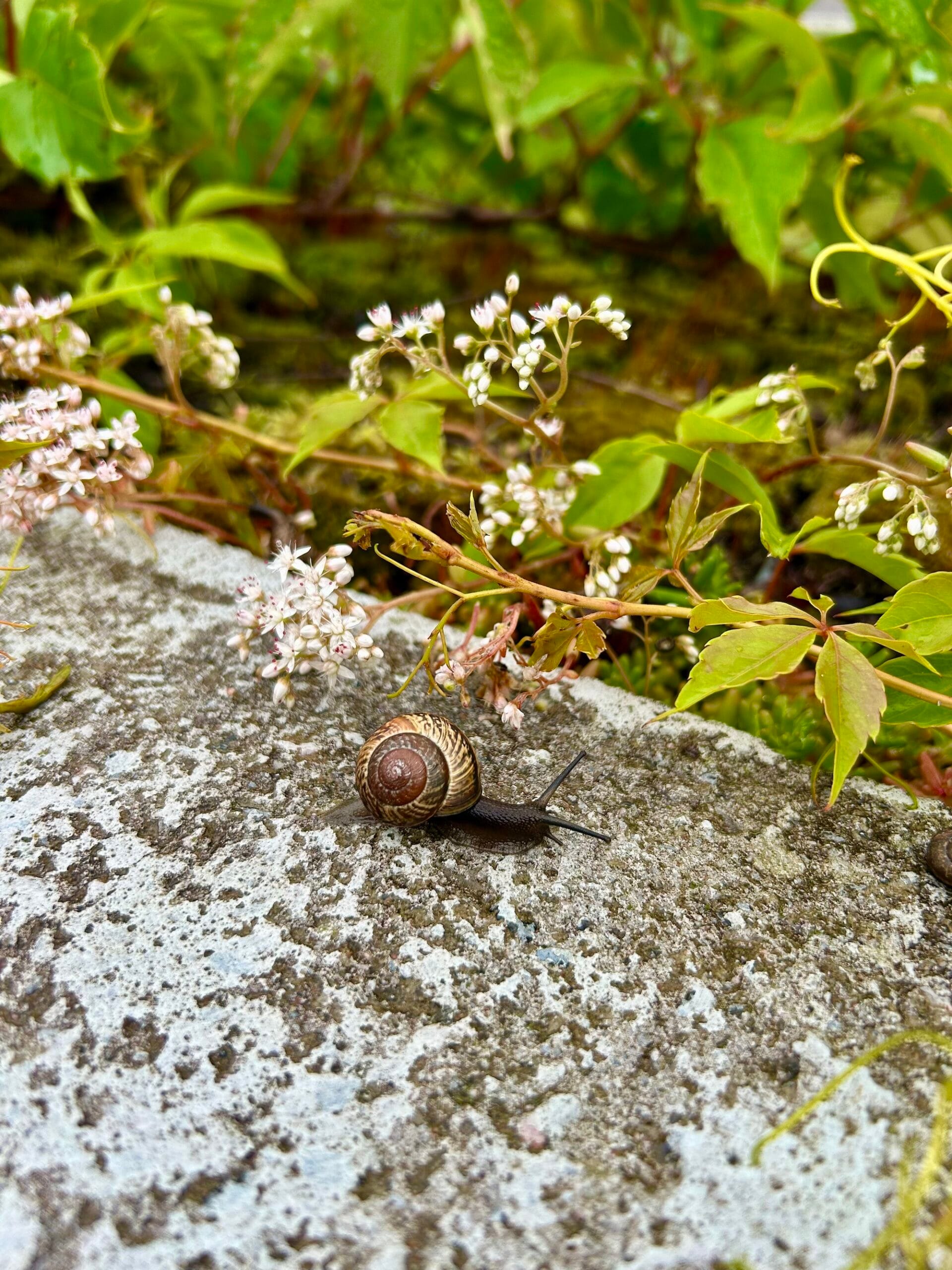 Minne tällä kesäviikolla? 14.-20.7.2025