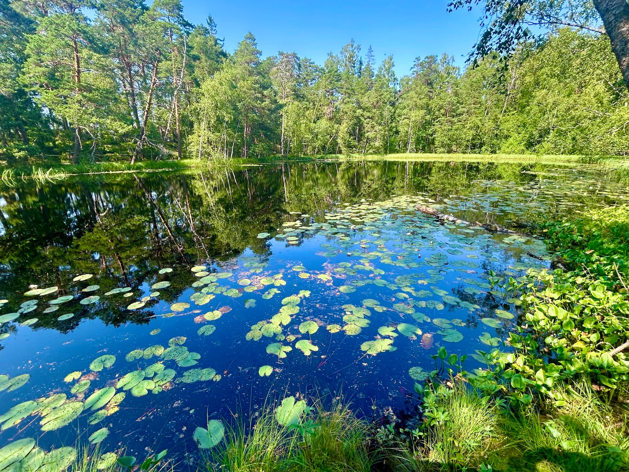 Minne tällä kesäviikolla? 21.-27.7.2025