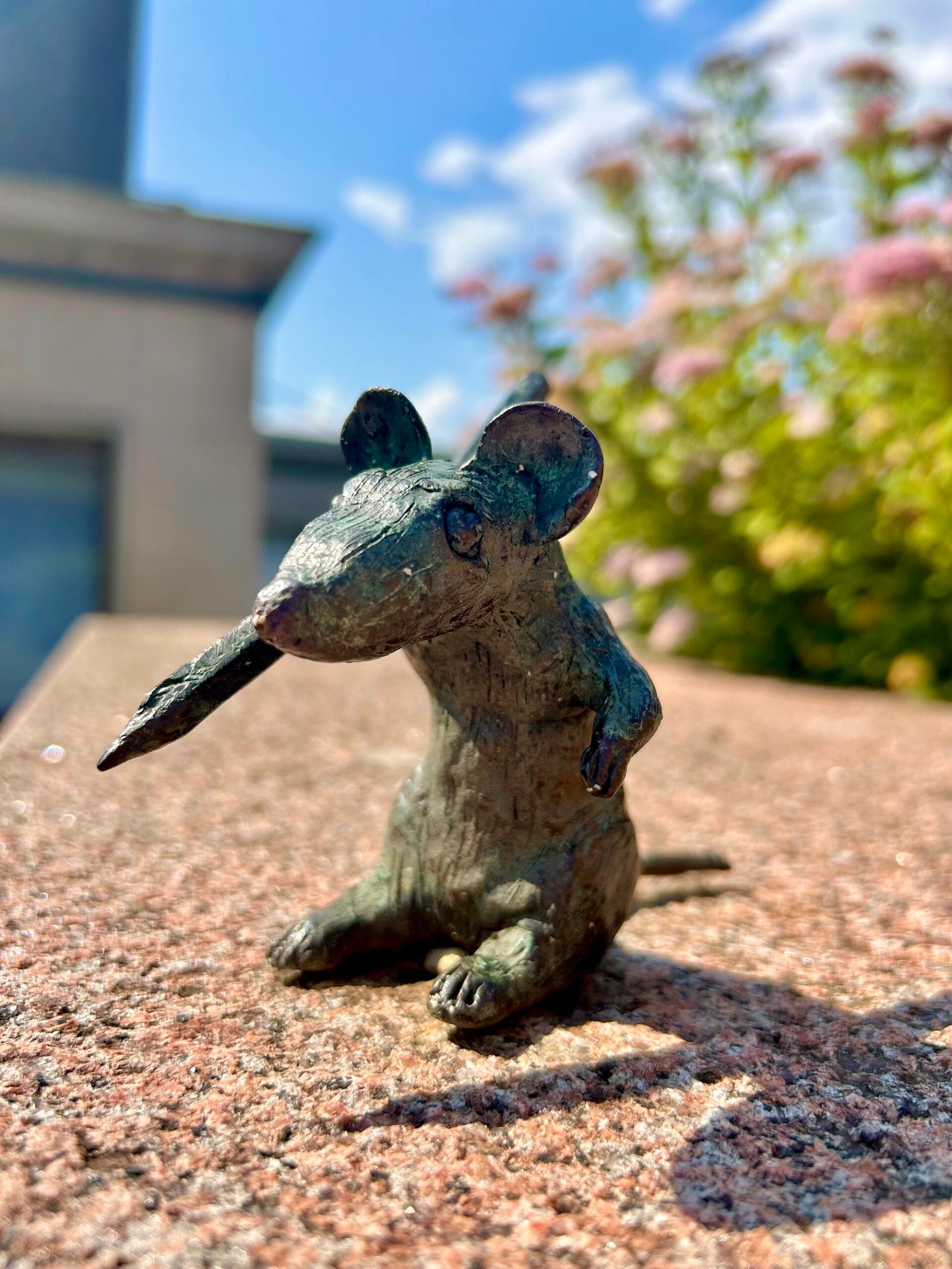 Minne tällä viikolla? 22.-28.9.2025