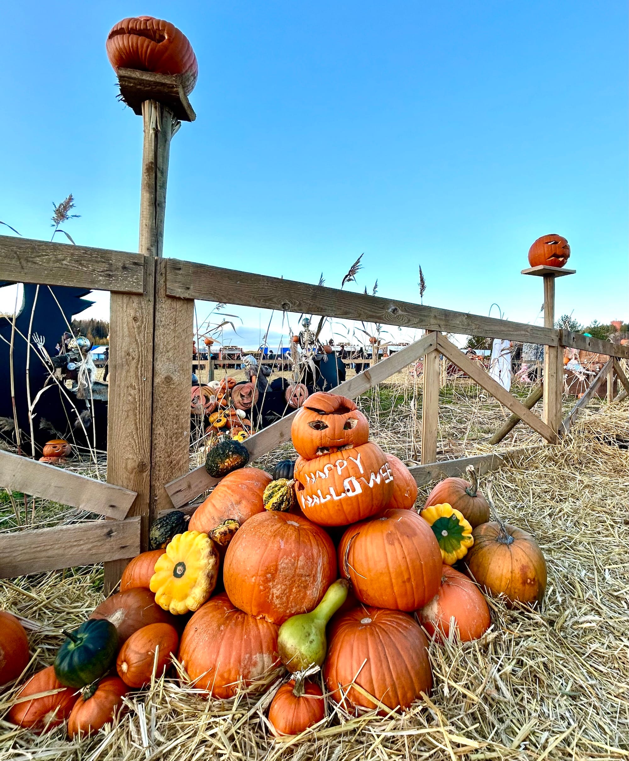 Halloween, Kekri ja Pyhäinpäivä Helsingissä 2025